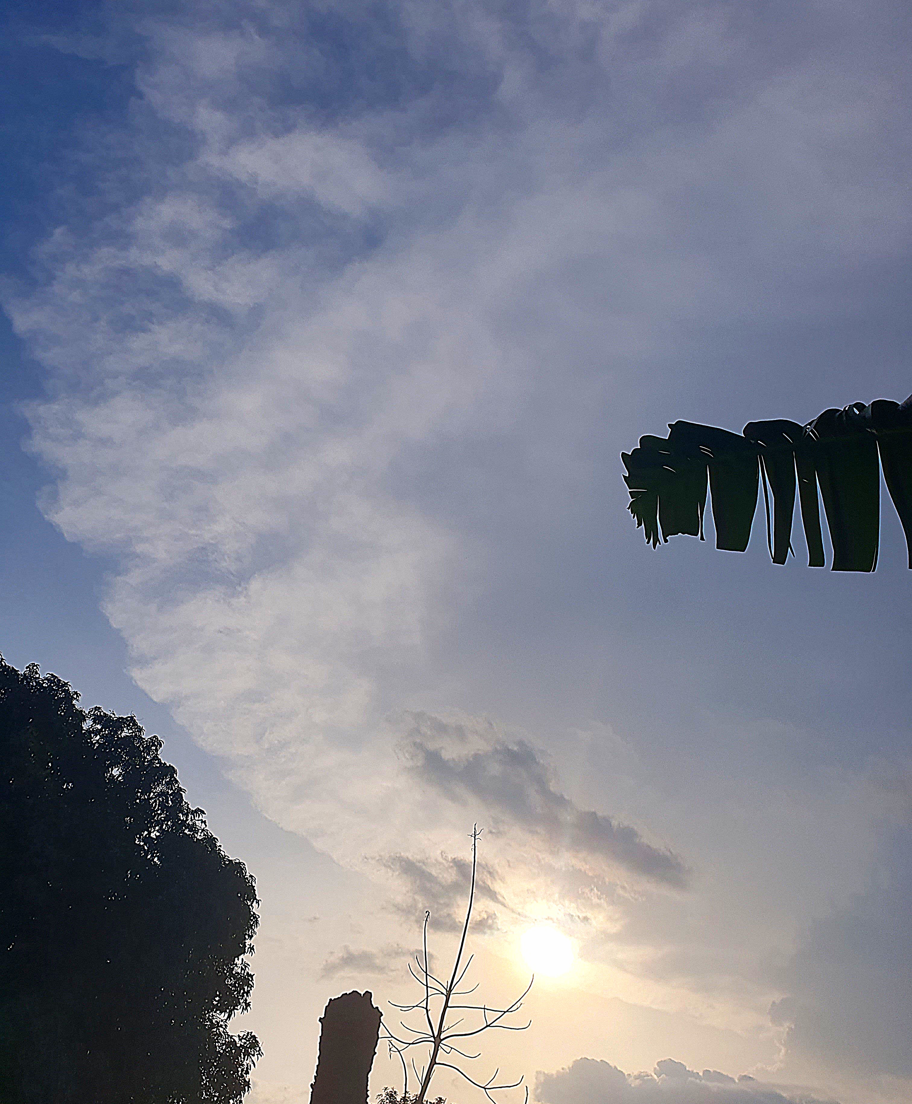 20260529_171915.jpg