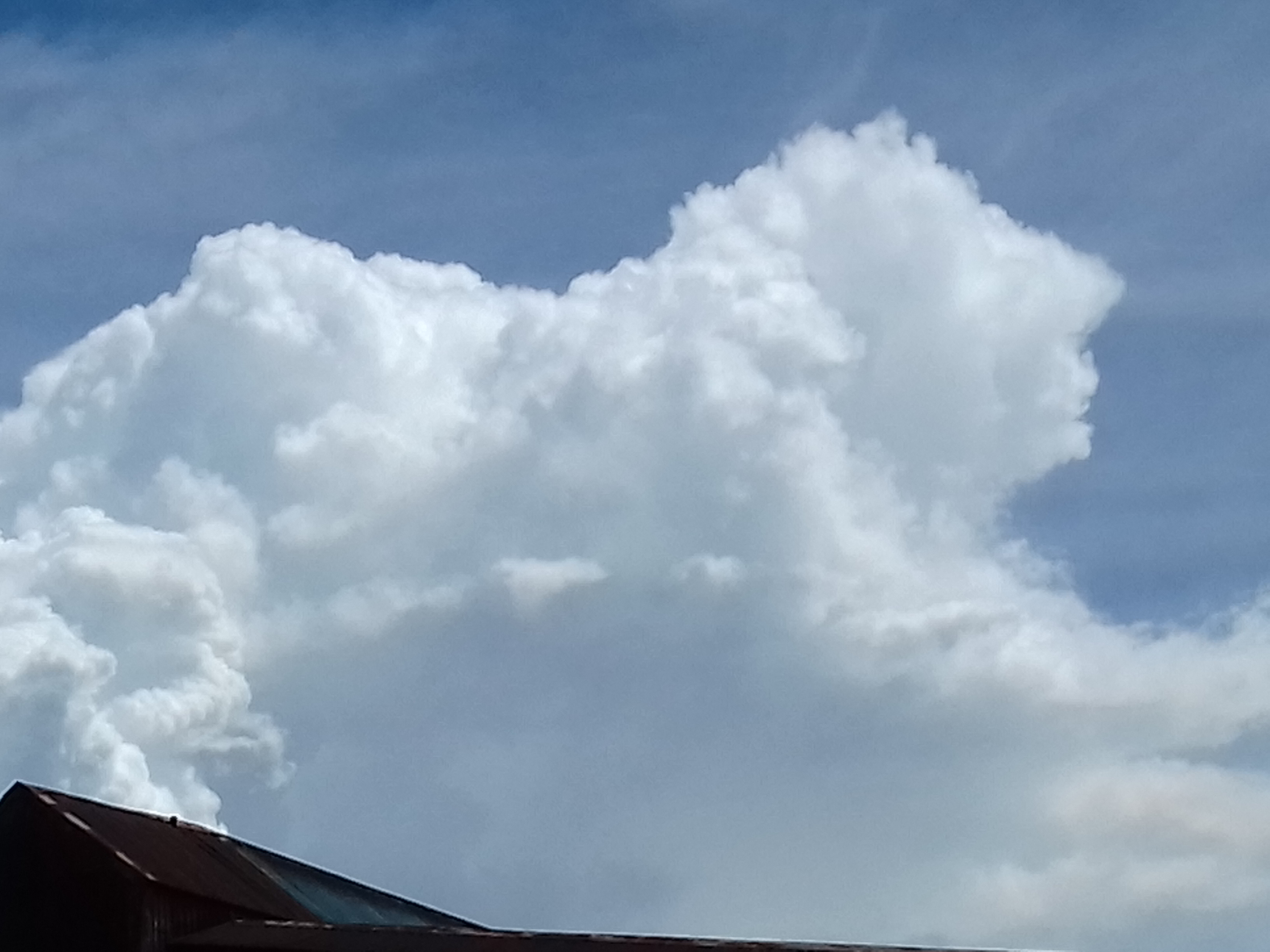 20200914_123933.jpg