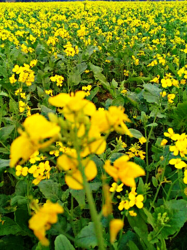 PicsArt_06-30-10.45.12.jpg