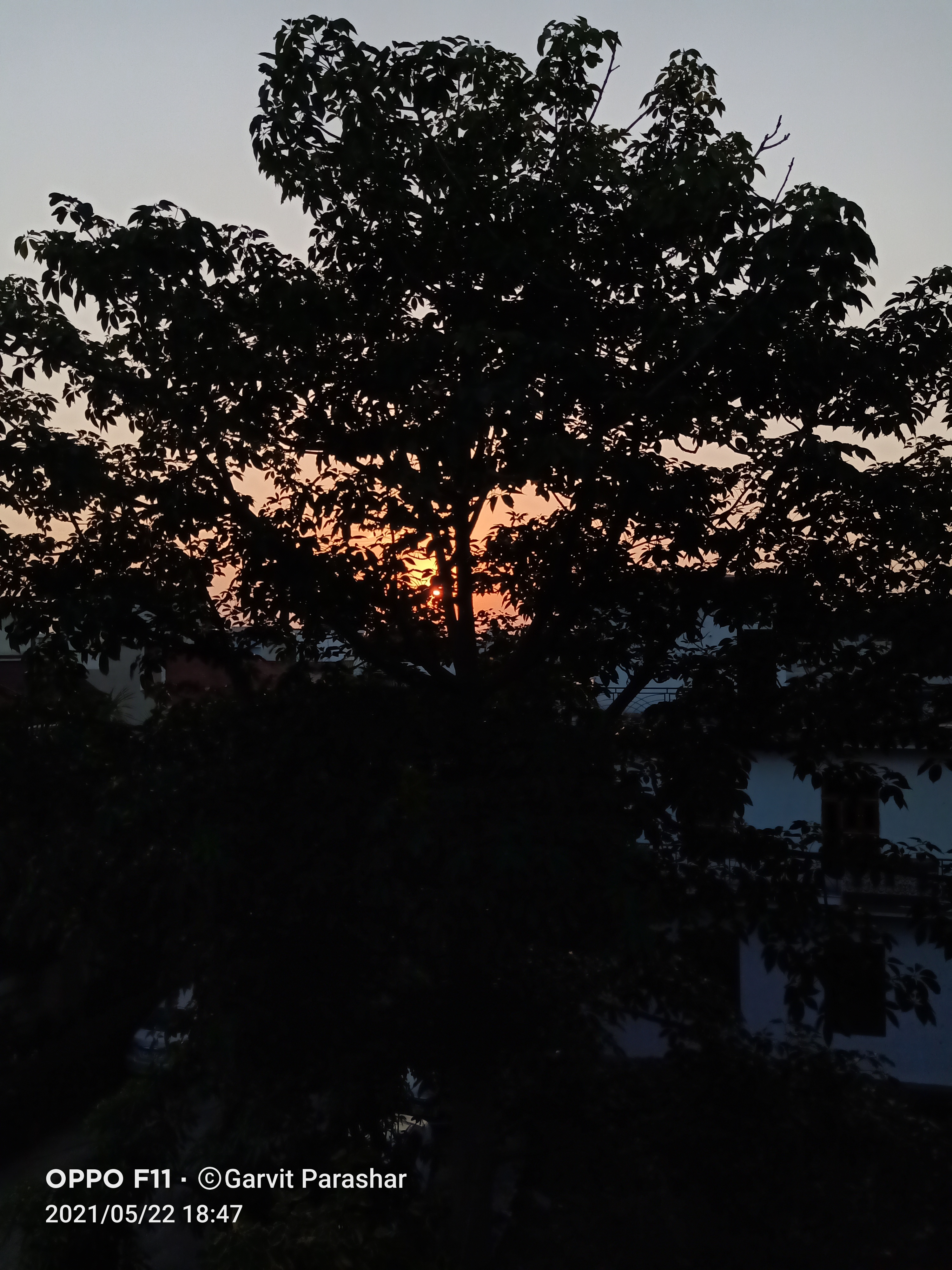 IMG20210522184703.jpg