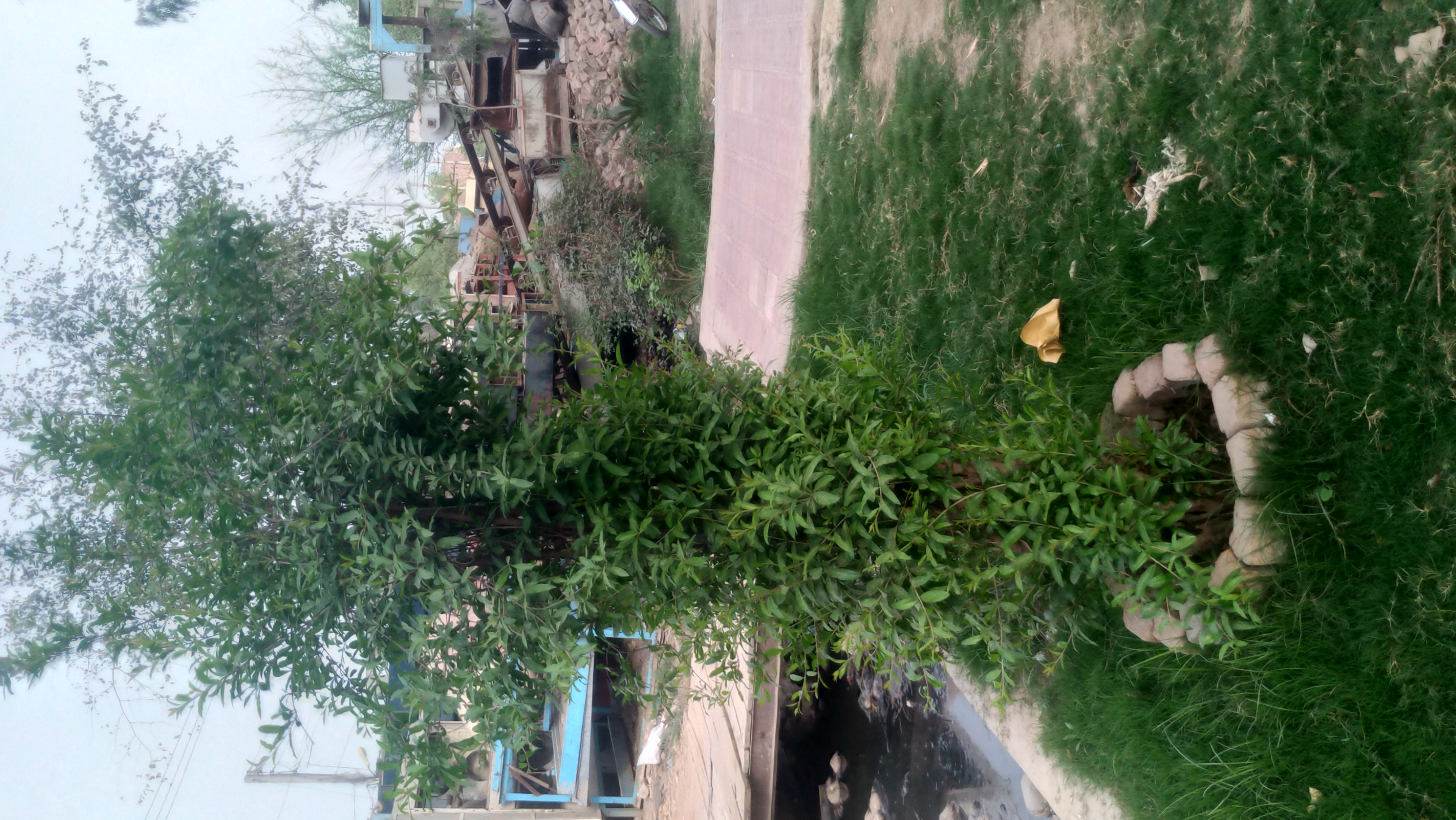 P_20210315_163453_vHDR_Auto.jpg