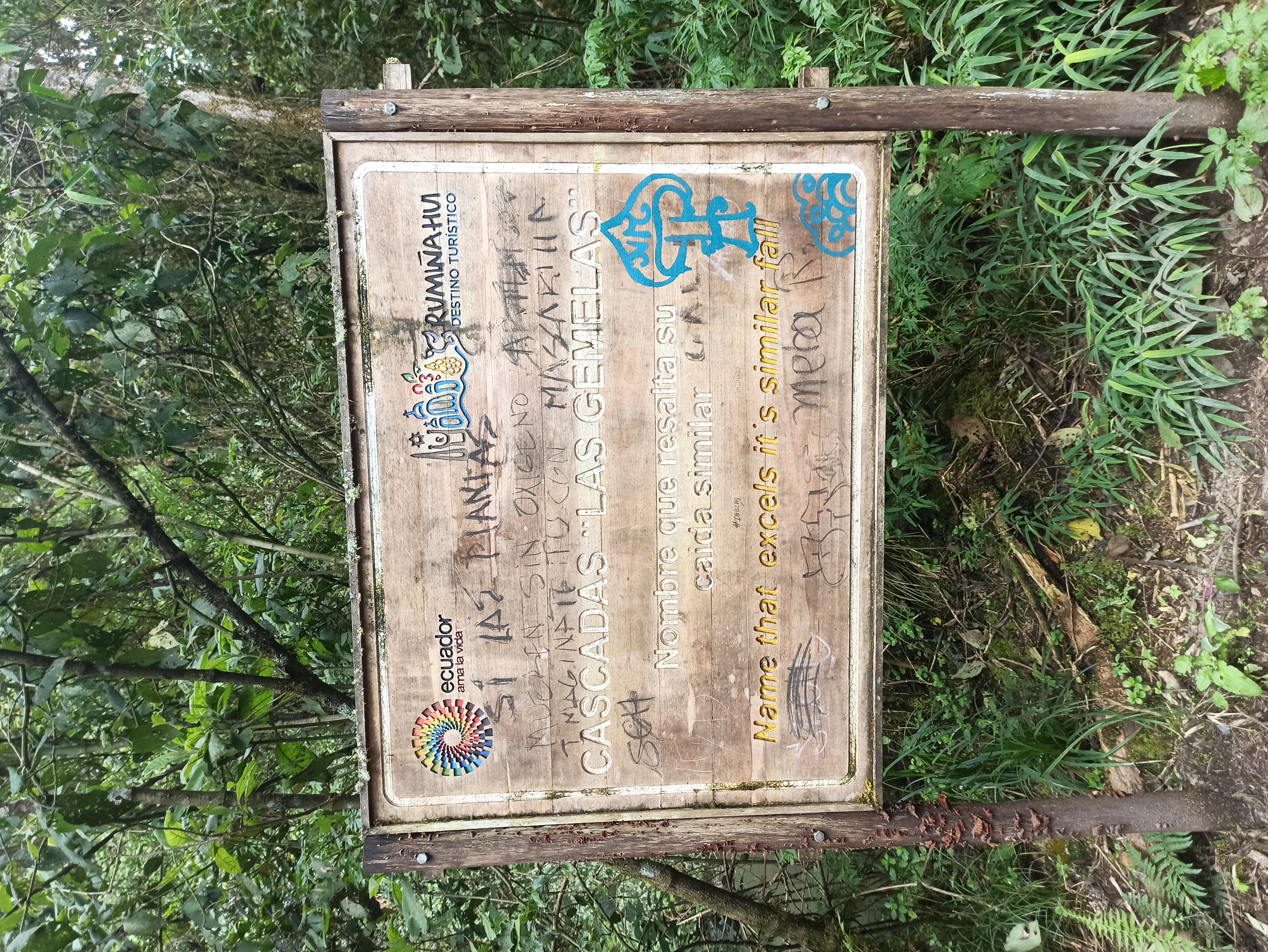 IMG_20220416_135526.jpg
