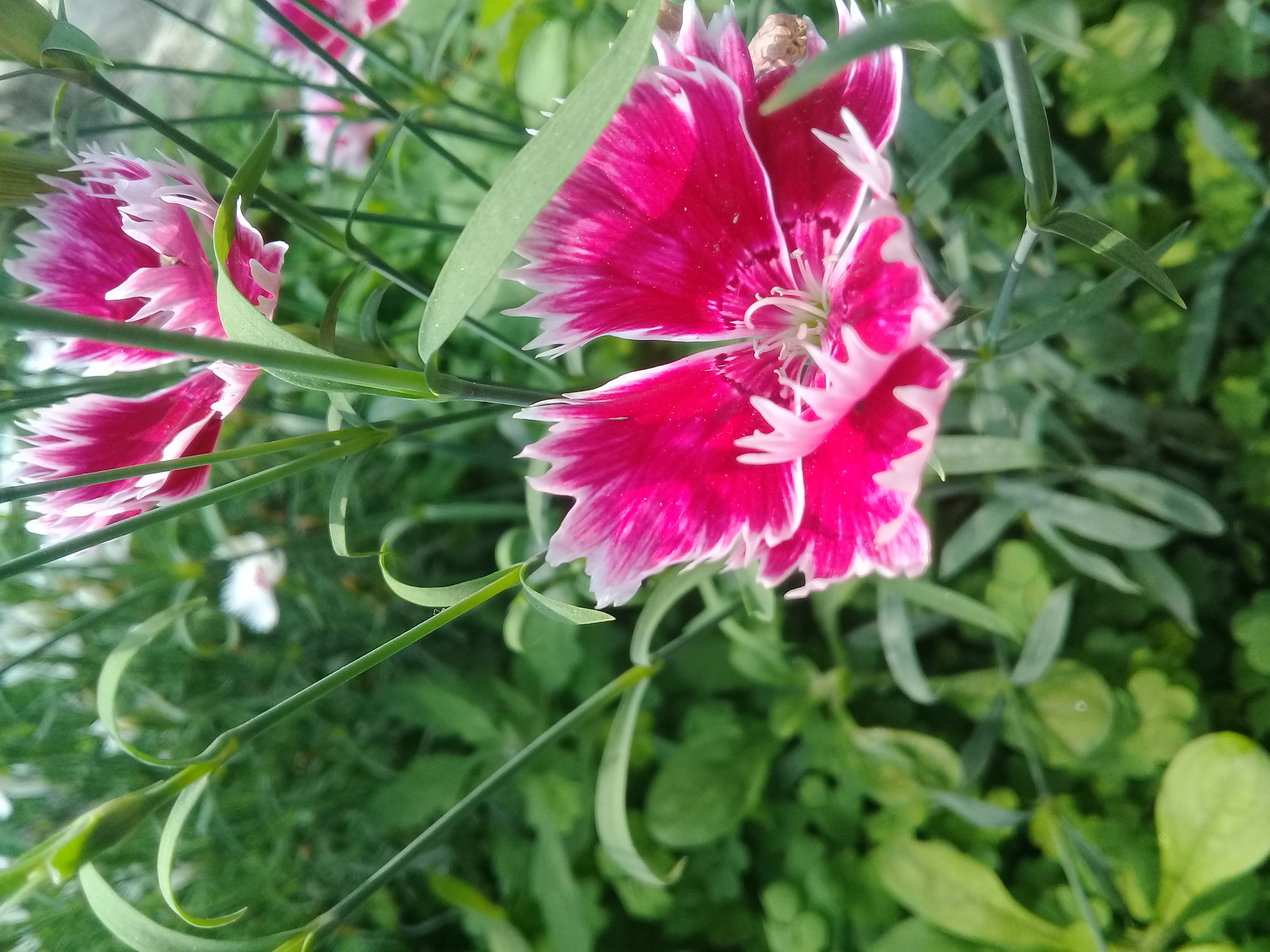 20190218_105318.jpg