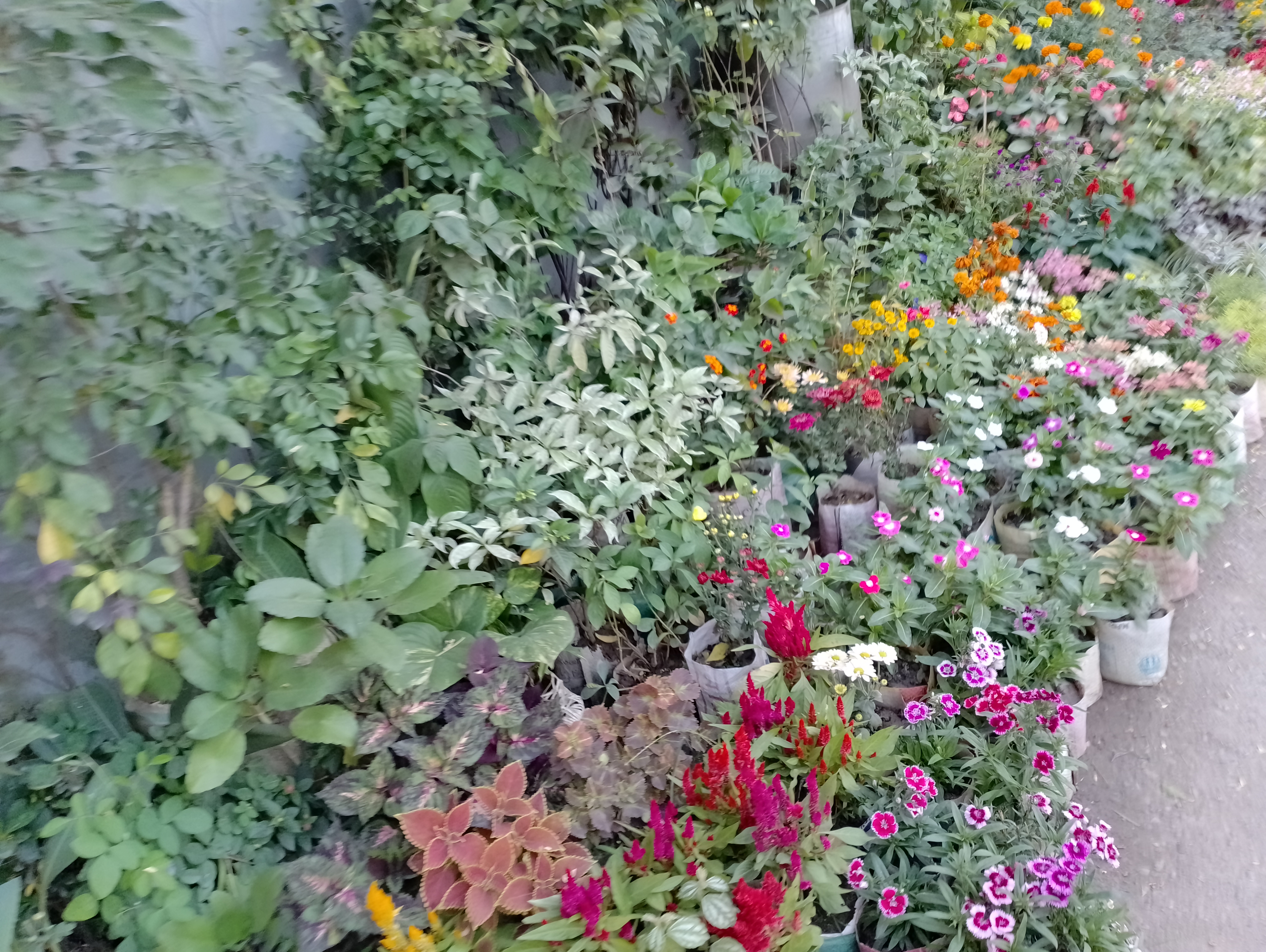 IMG_20221130_164350~2.jpg