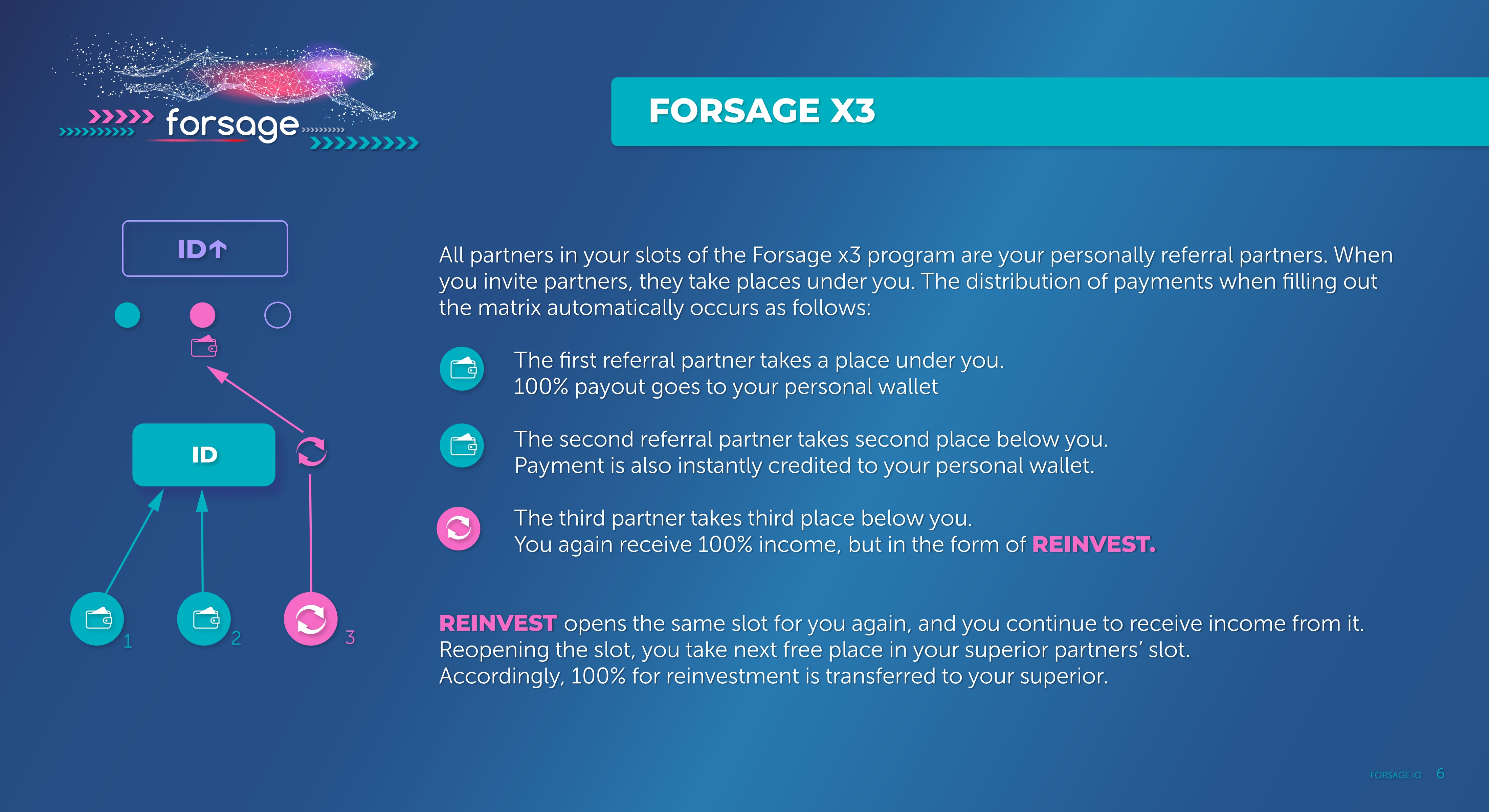 Page 6 (quality=100).jpg