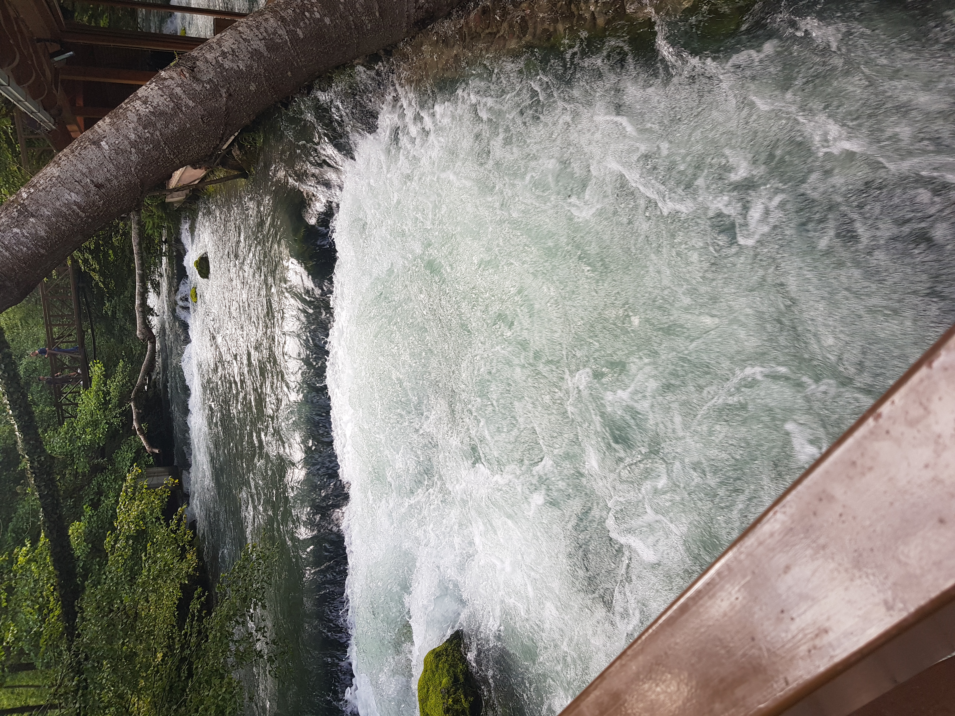 20180729_181012.jpg