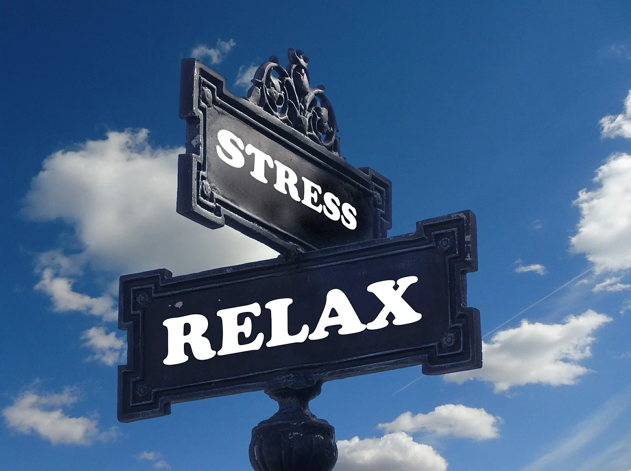 stress-391657_1280.webp