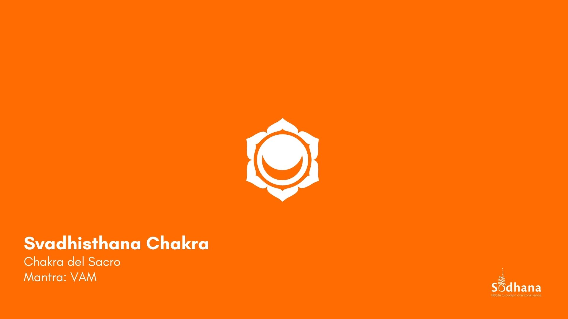 Chakras Meditaciones (1).jpg