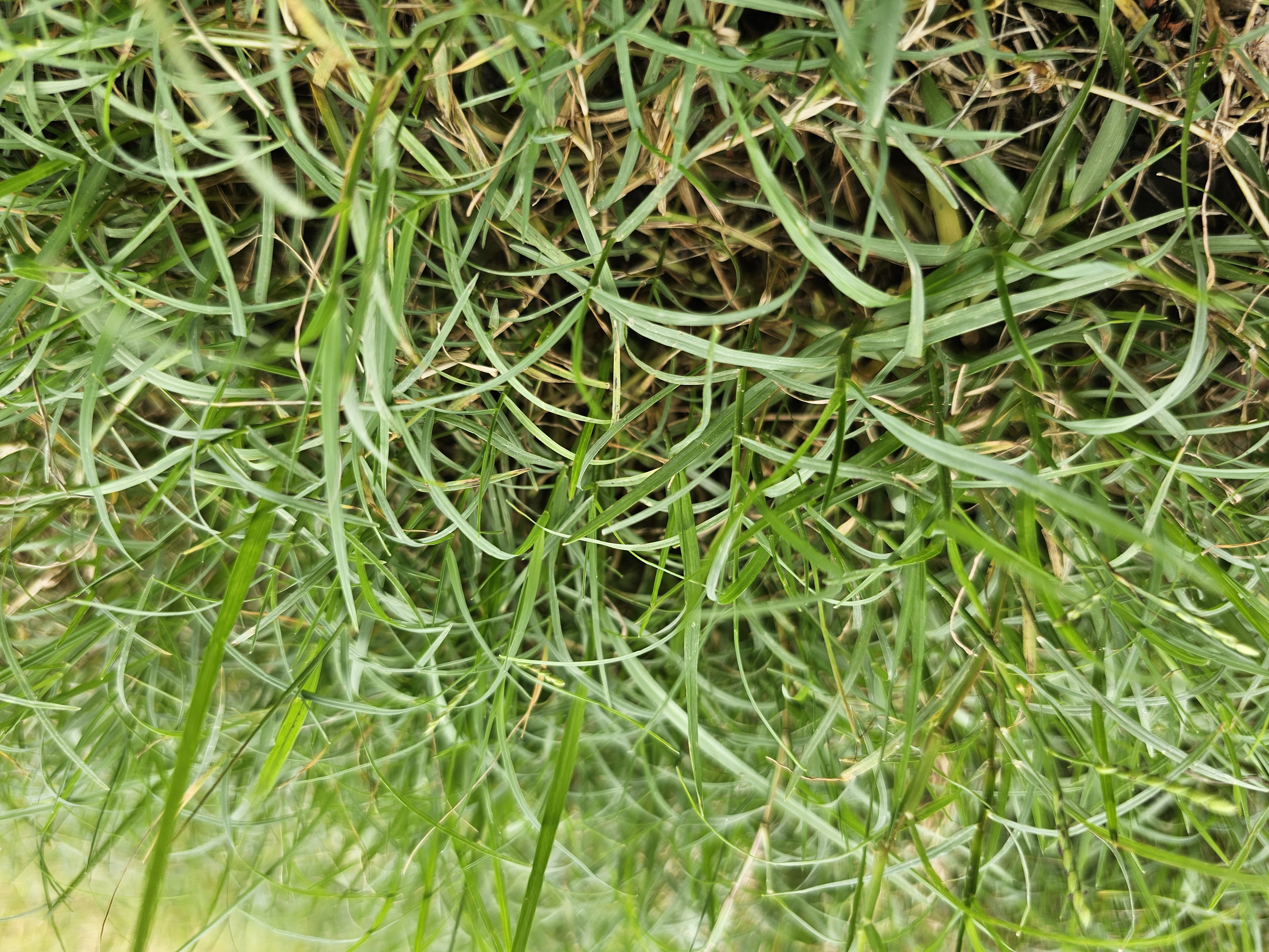 20260615_095002.jpg