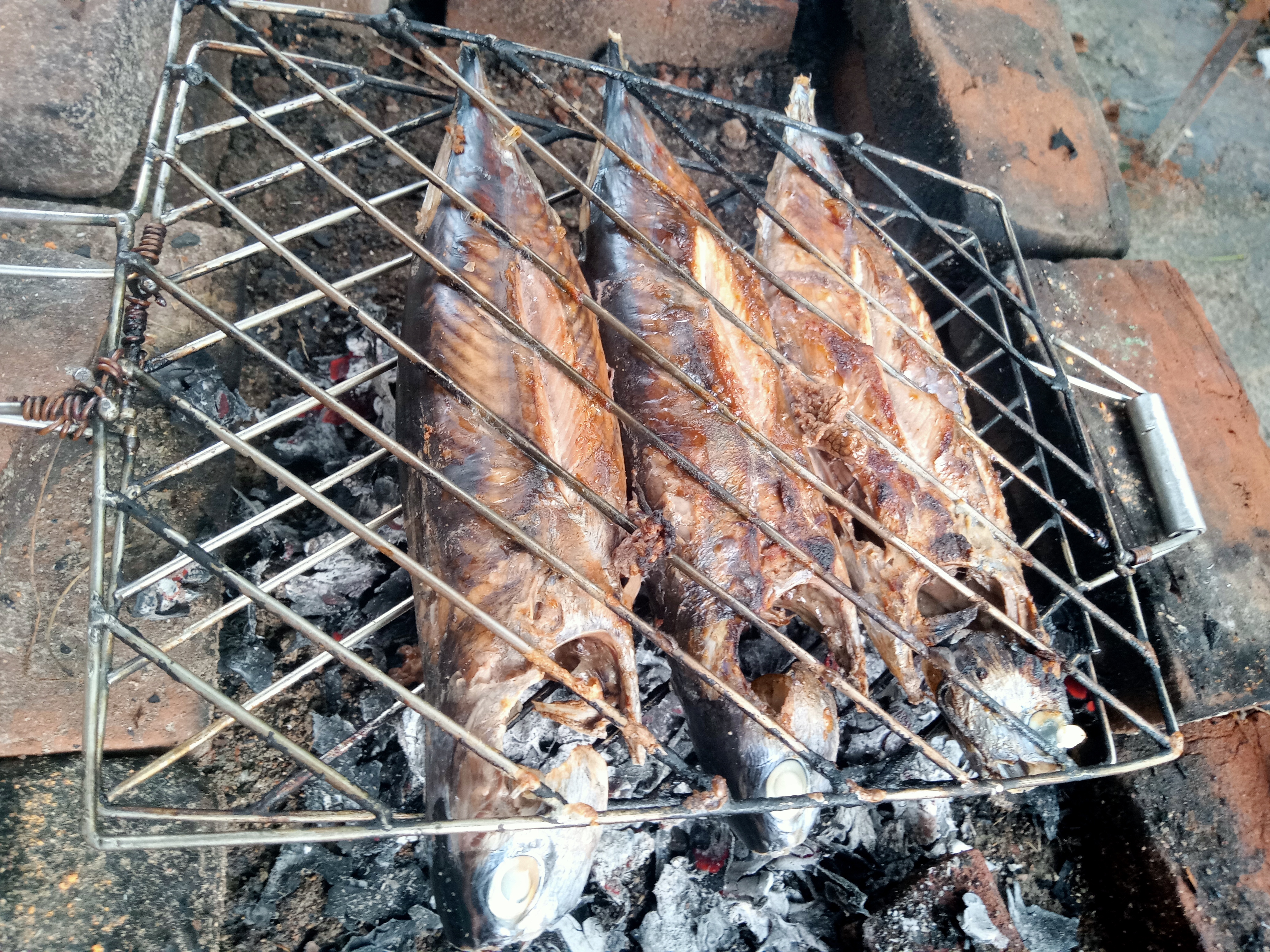 IMG20230923122218.jpg