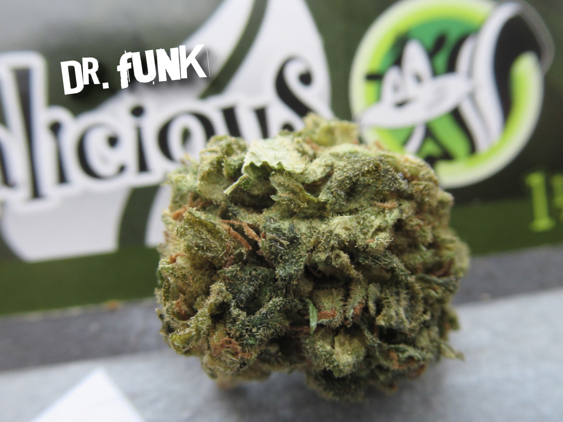 fullnugfrongCover.jpg