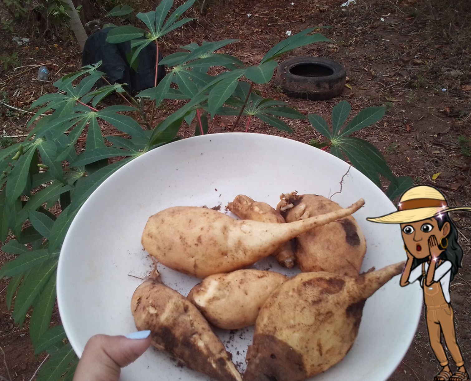 png_20220127_151333_0000.jpg
