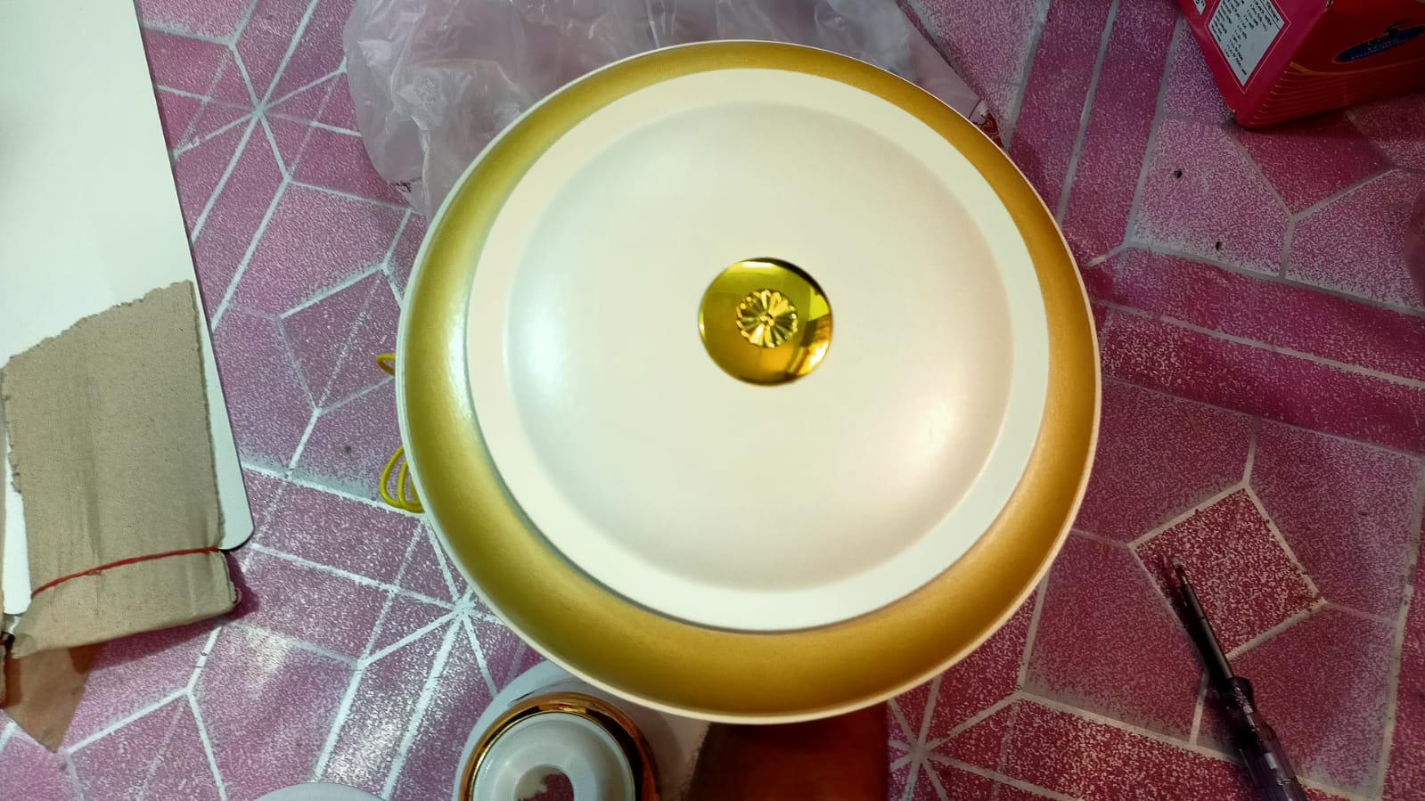 1000061375.jpg