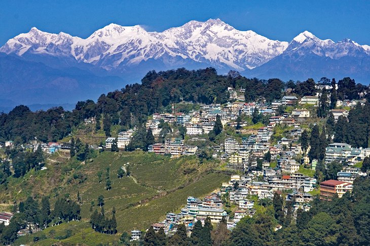 india-best-places-to-visit-darjeeling.jpg