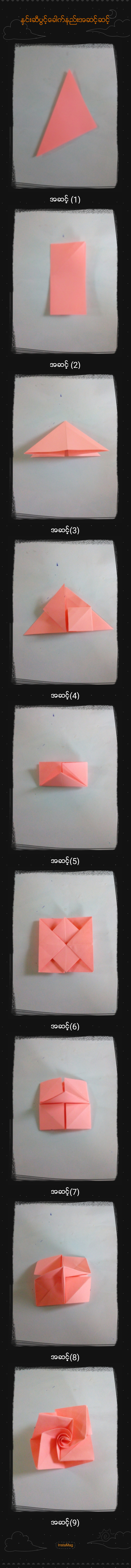 img1540953523331.jpg
