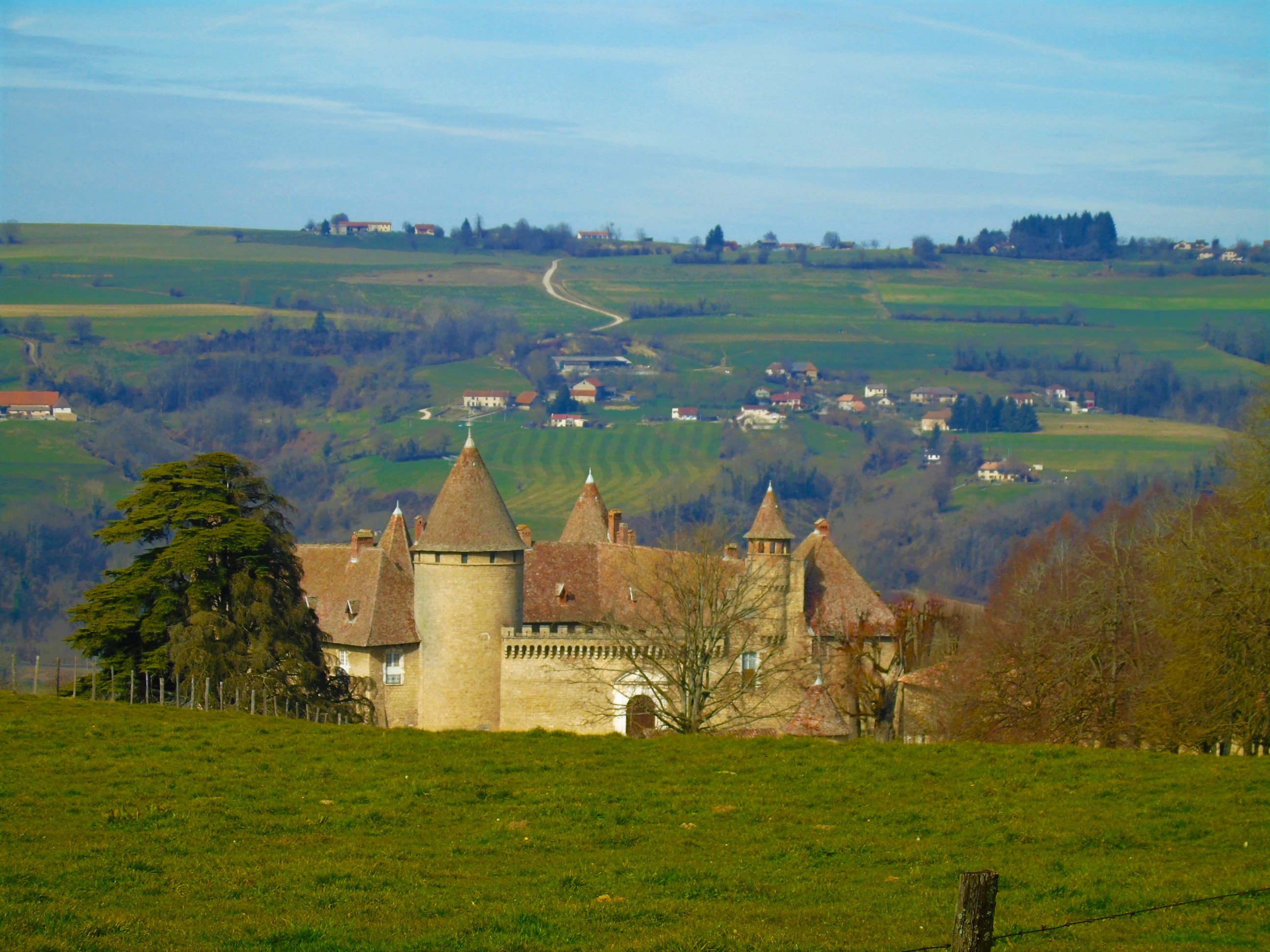 1photofeedlandscape104 (7).JPG