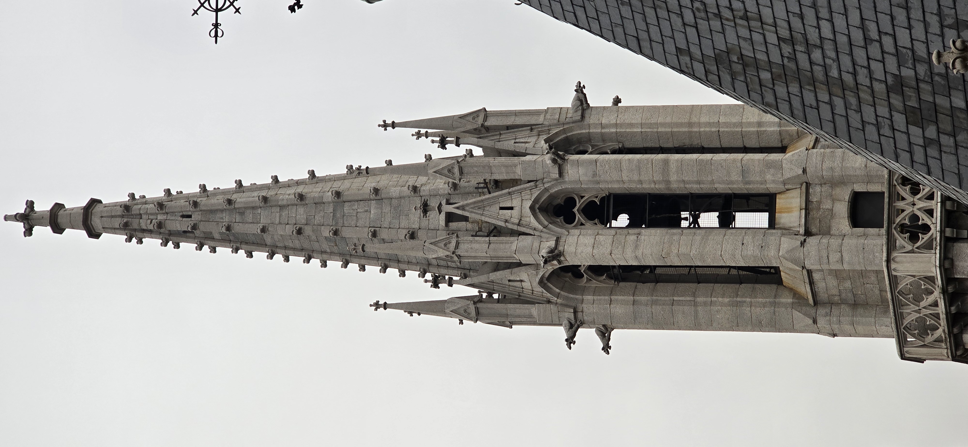 20260114_092557.jpg
