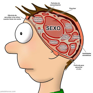 Cerebro_hombre.jpg