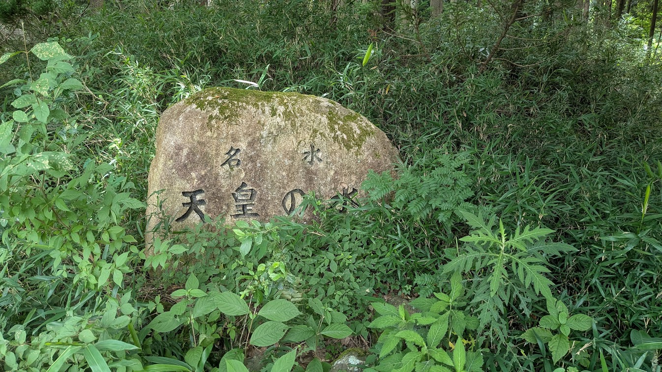 PXL_20260711_015348236.MP.jpg