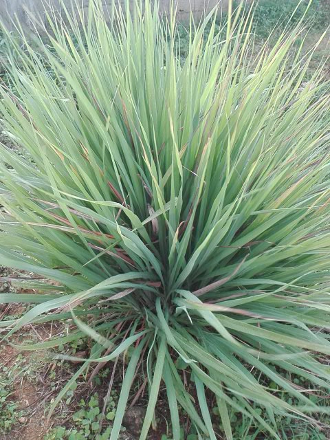 PHOTO_20211017_151909.jpg