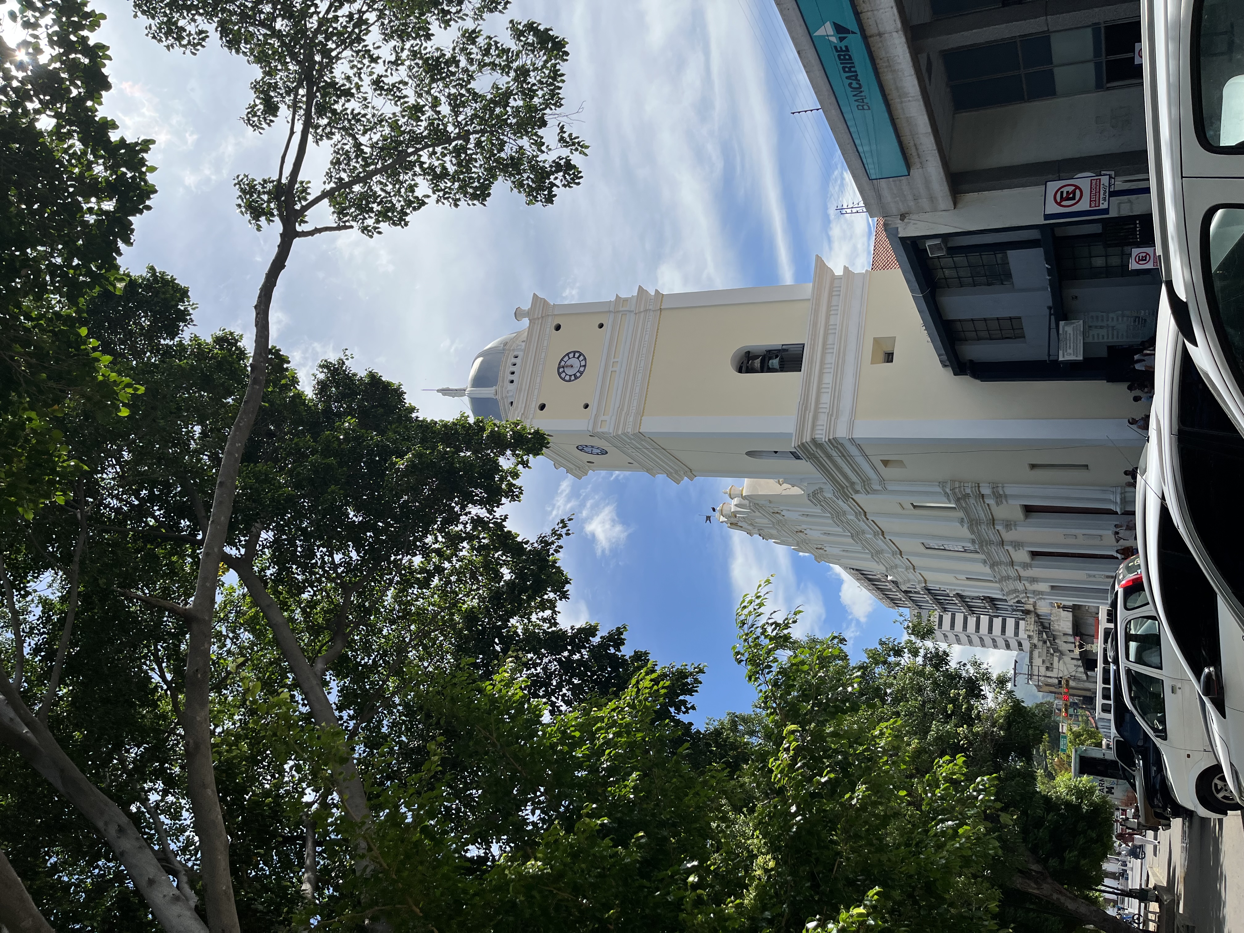 IMG_0230.jpeg