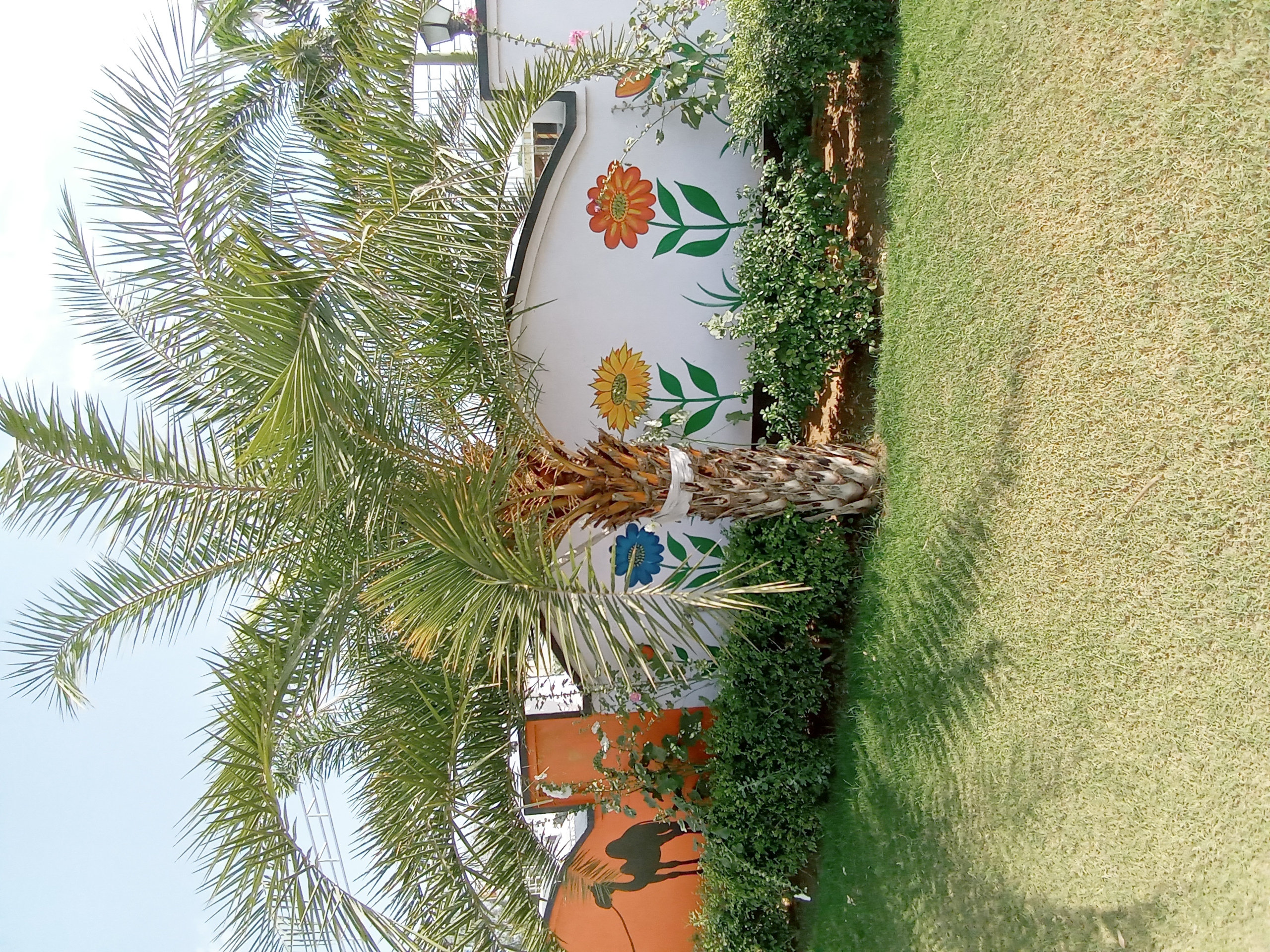 20210418_094132.jpg