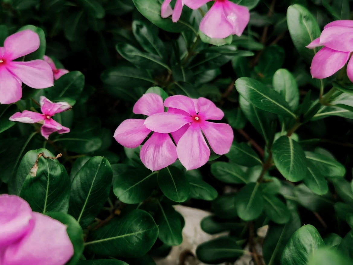 1000183436.jpg