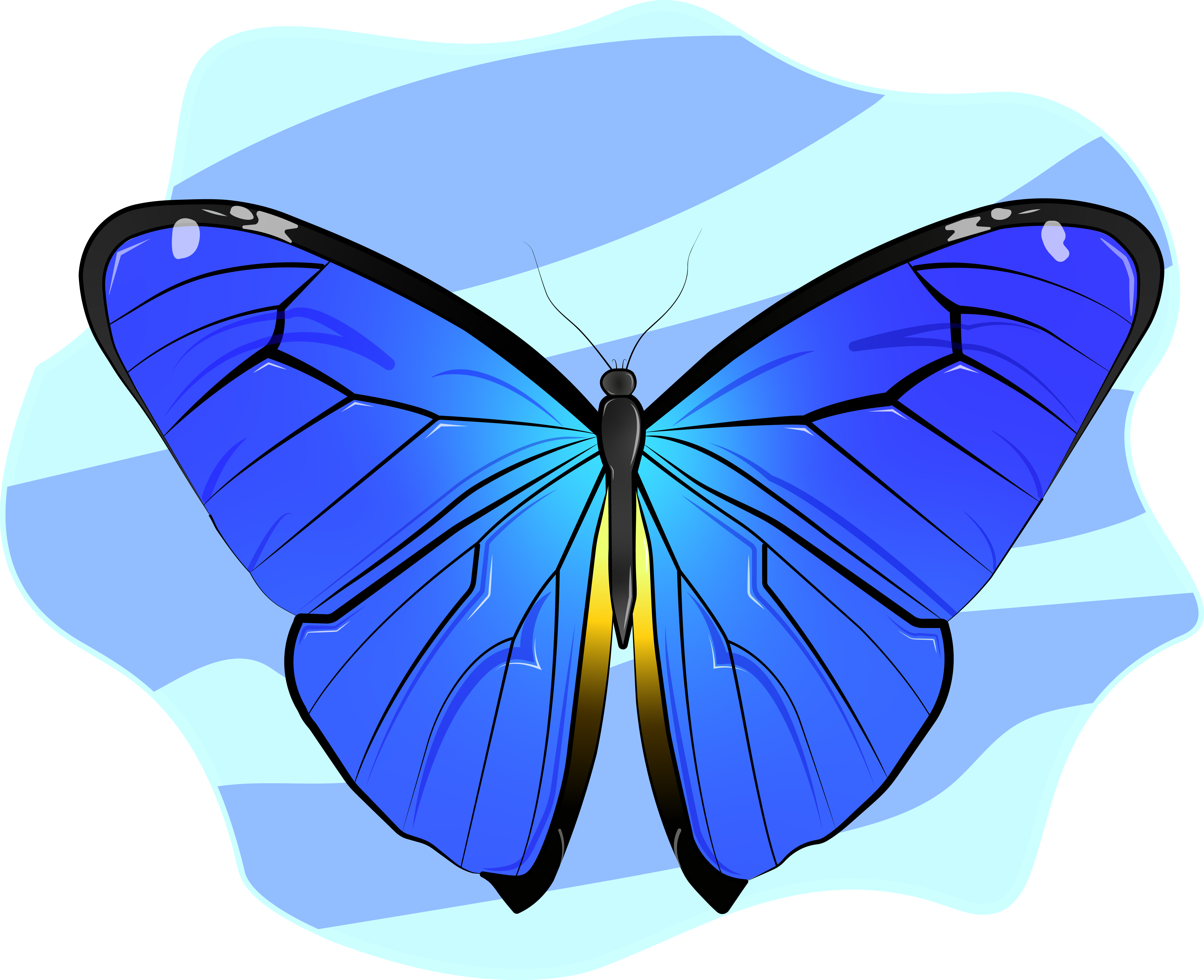 mariposa part final.jpg