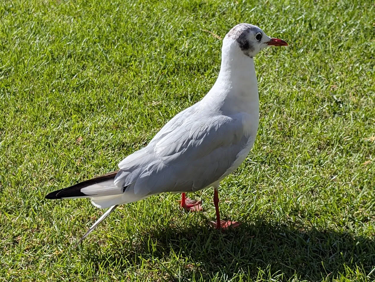 8DAuGnTQCLptZgjHUrRAJGcW4y1D4A5QVJJ7zjzqqKdfVHSS6NapSCCBxXyvHLPRmPQPCVUDfwUF63wETcQg4aHUUNxMcSVd89mWDDkagn5MXqf9T1NqHZZNERps6a1AEAa3bnYSeWAJRNWQmKJCUbRjMe3NUMiTnmfxRWjxK9x.png