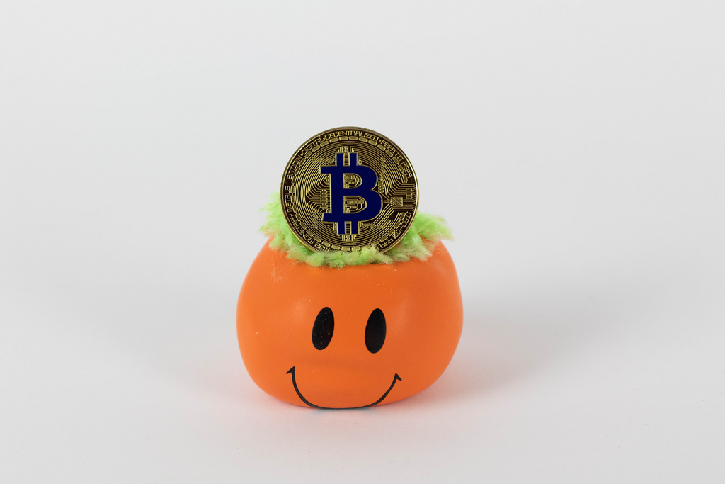 Steemit profile picture for @bitches