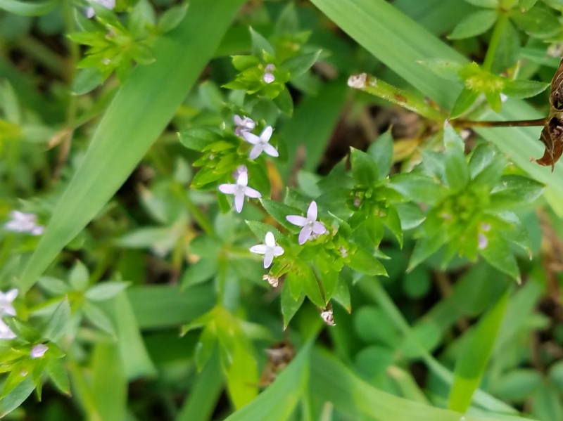 20180613_160708.jpg