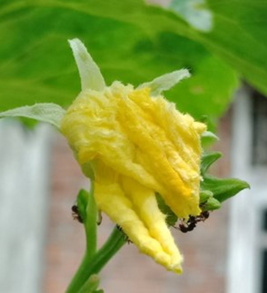 IMG_20220531_204104.jpg