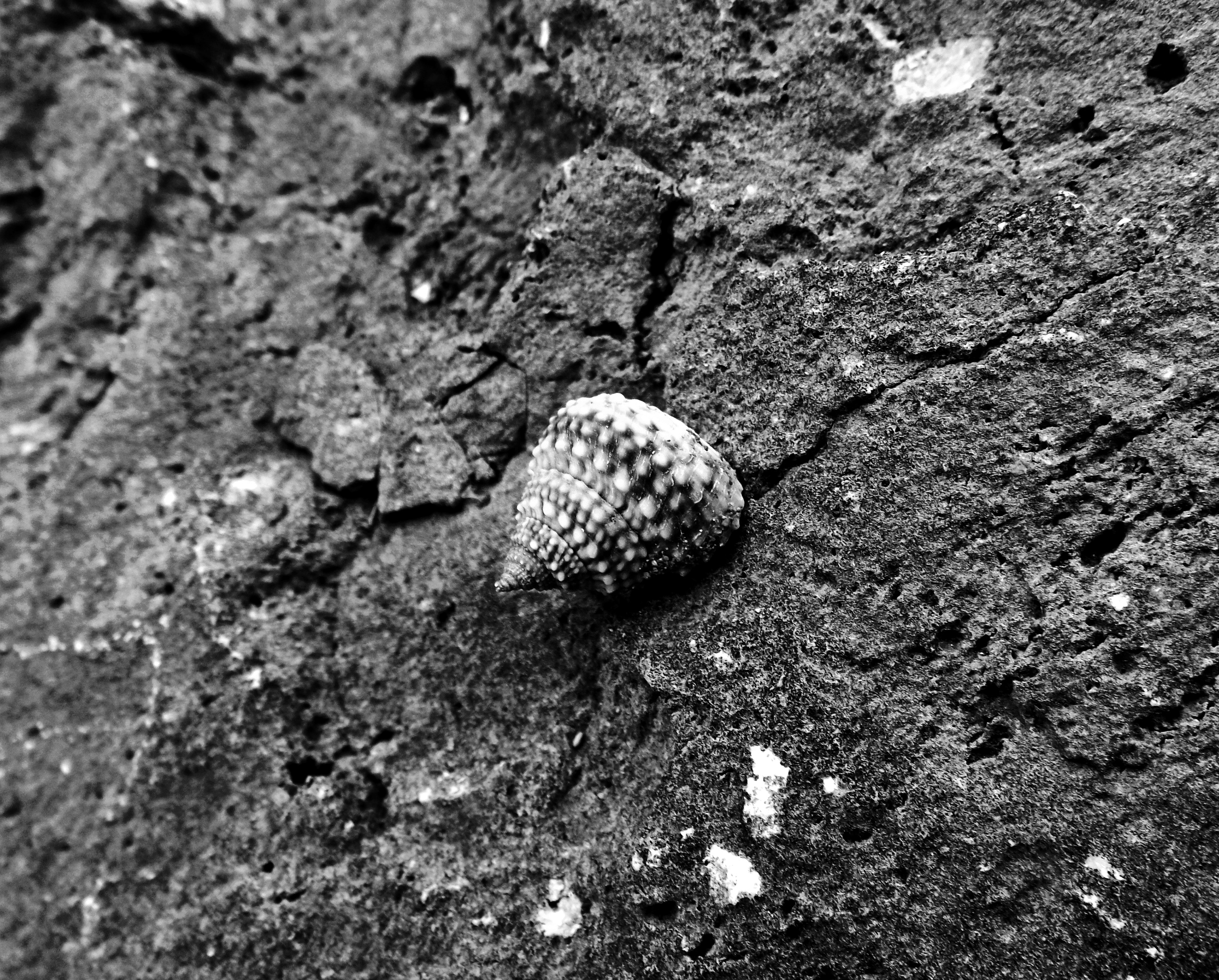 DSCF3588-1.JPG