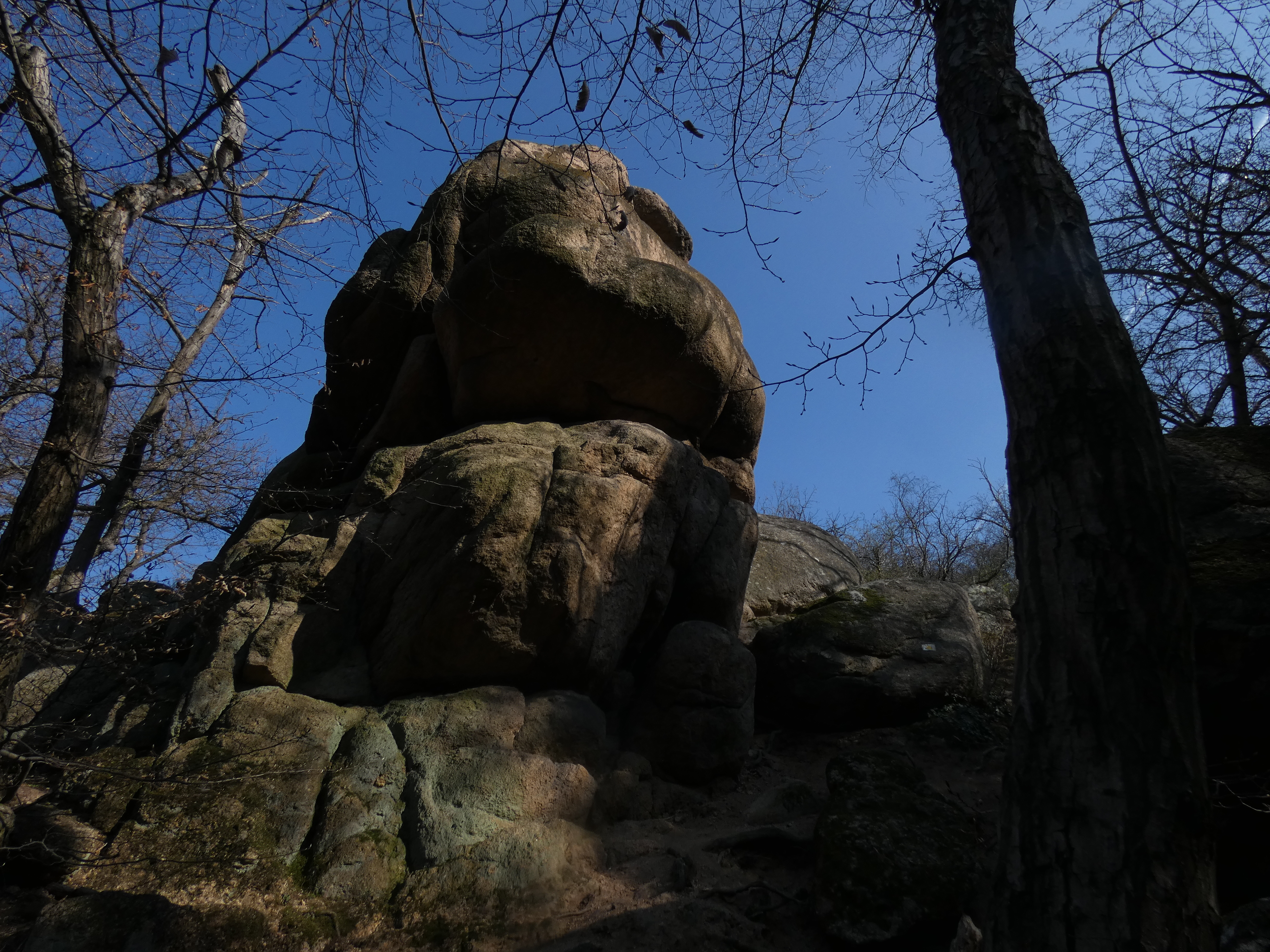 P1230546.JPG