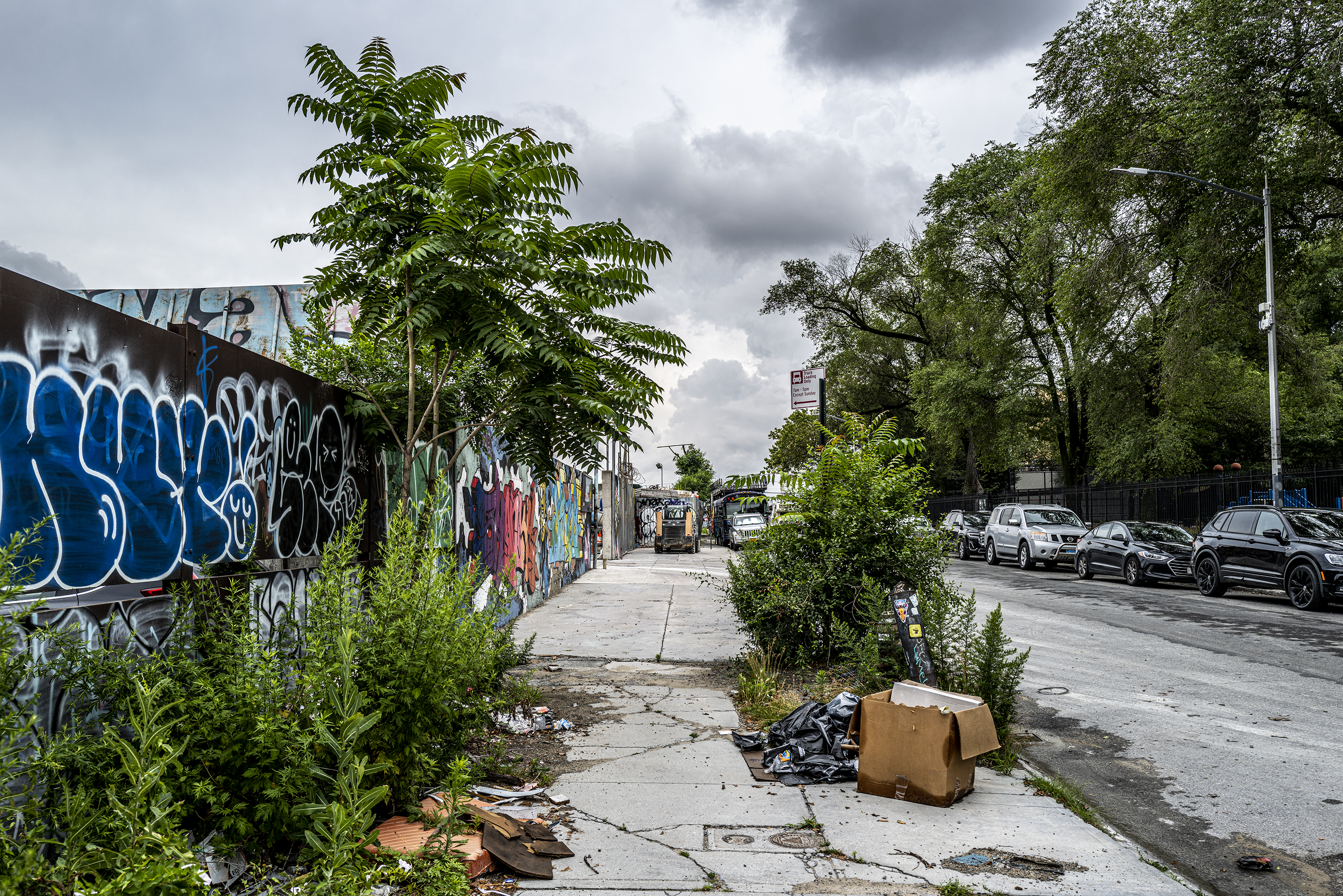 bushwick010.jpg