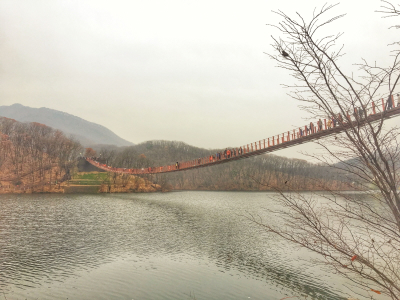 크기변환_58DF8396-8445-45FD-80A5-0660E4FDCA4F.jpg