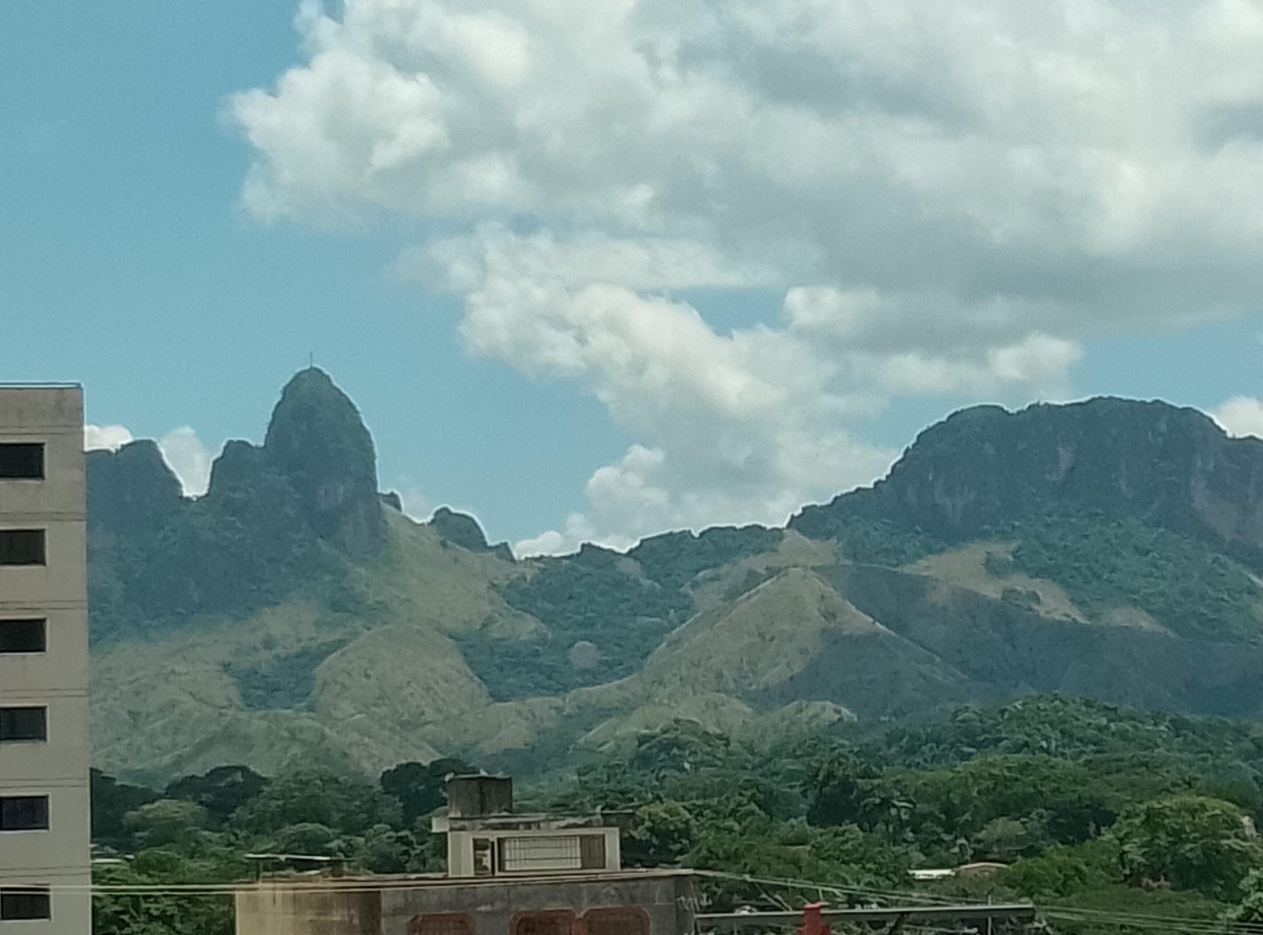 338964.jpg