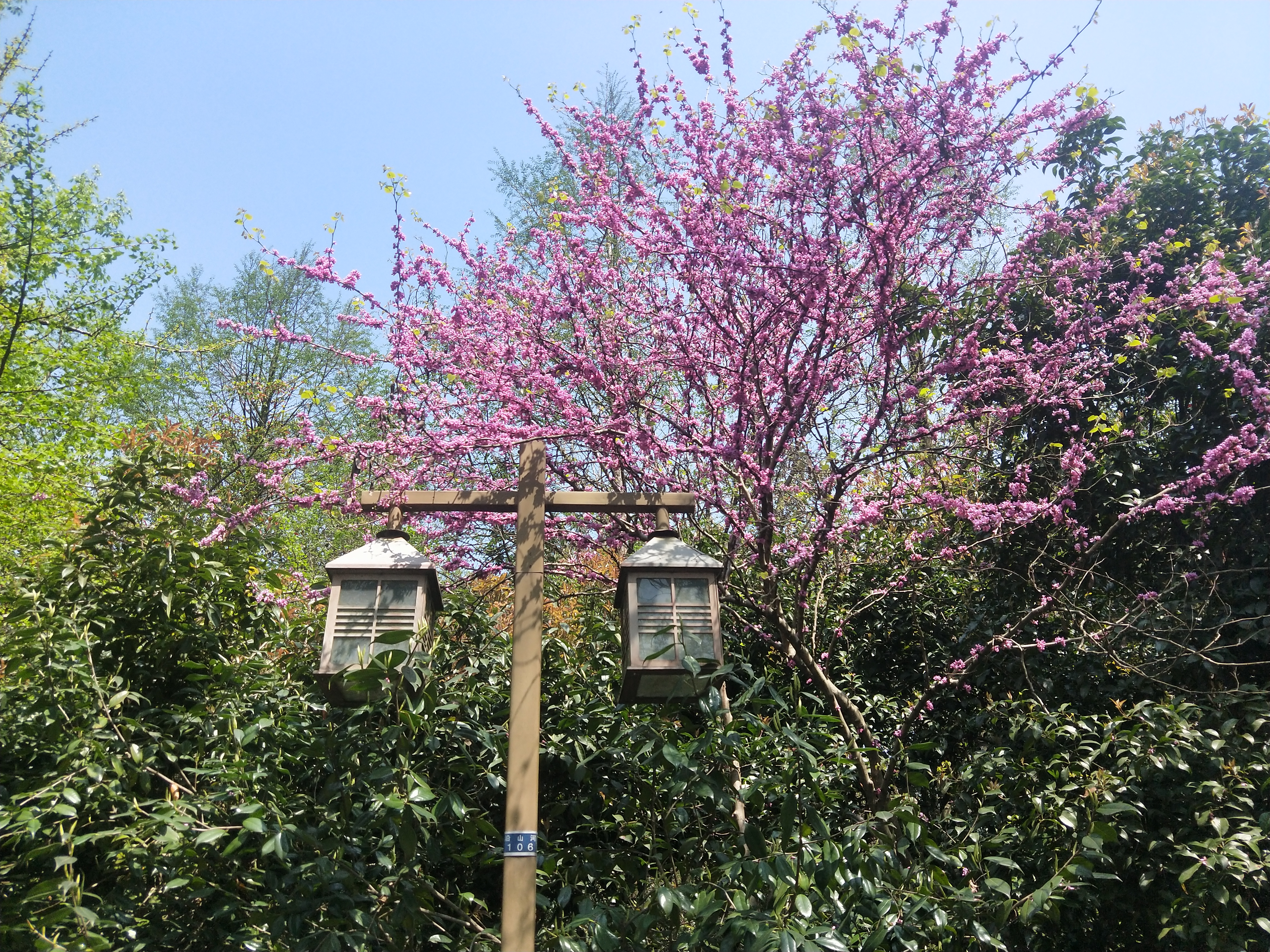 IMG20190405105519.jpg