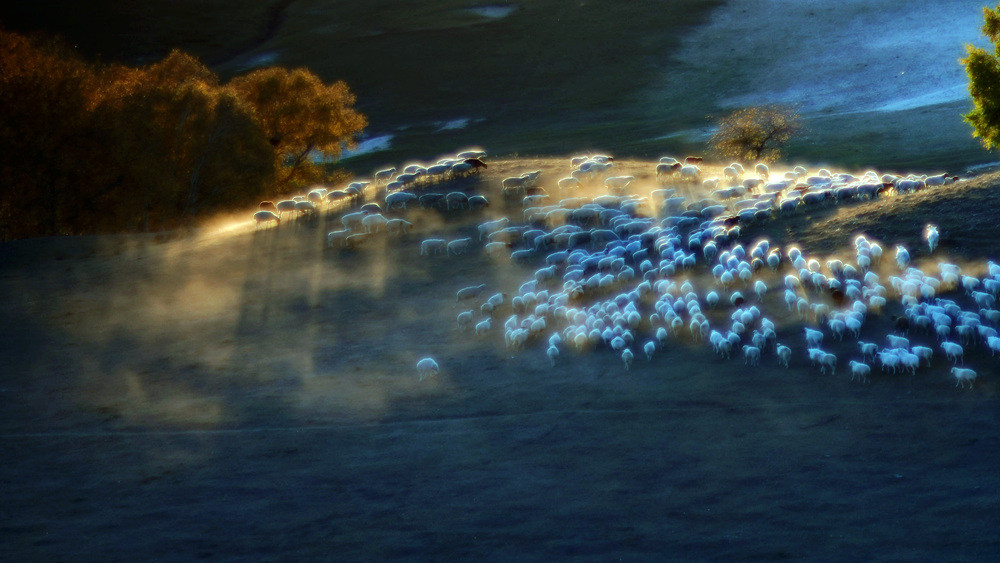 20191009_201642_007.jpg