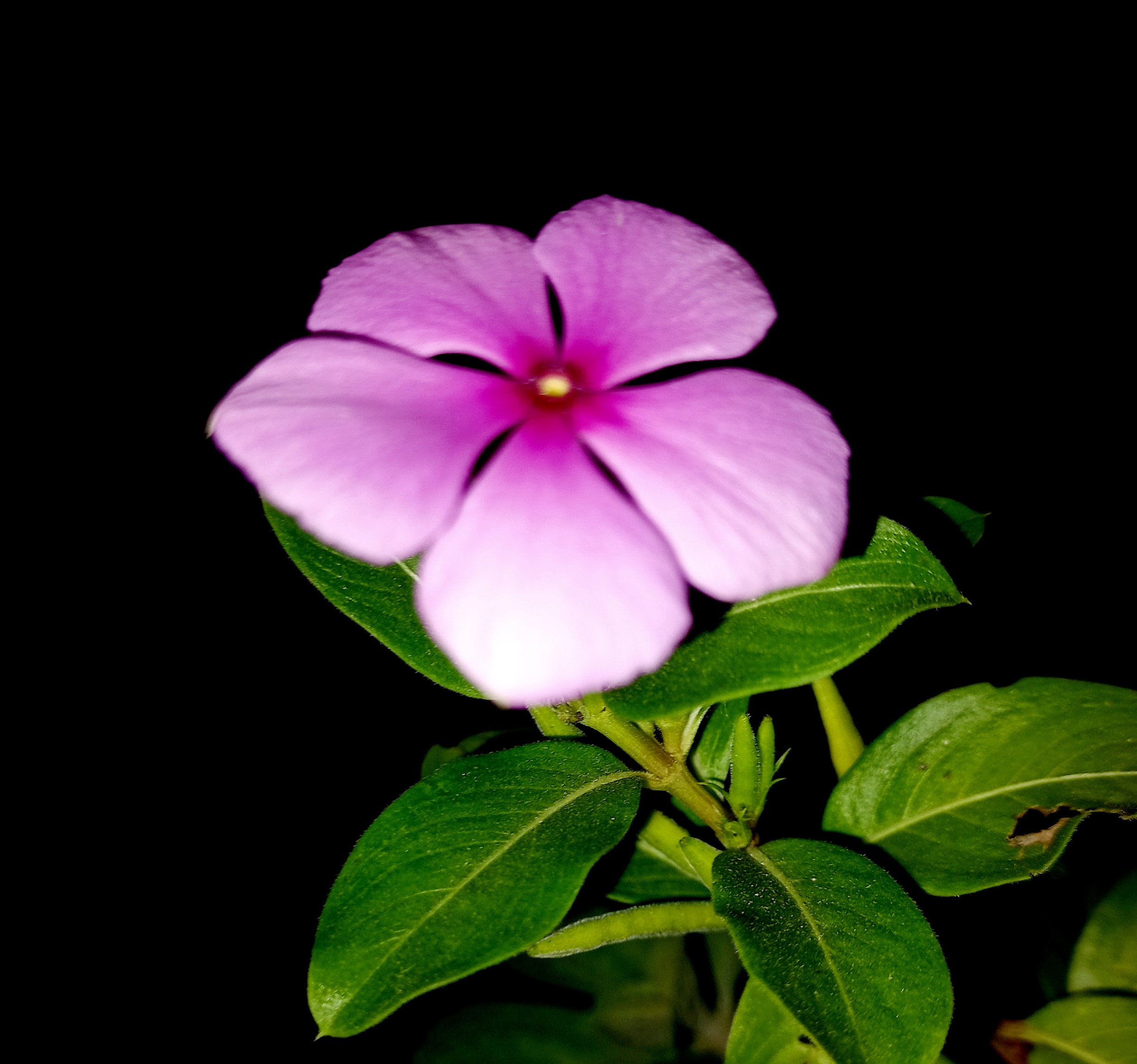 20220916_191709.jpg