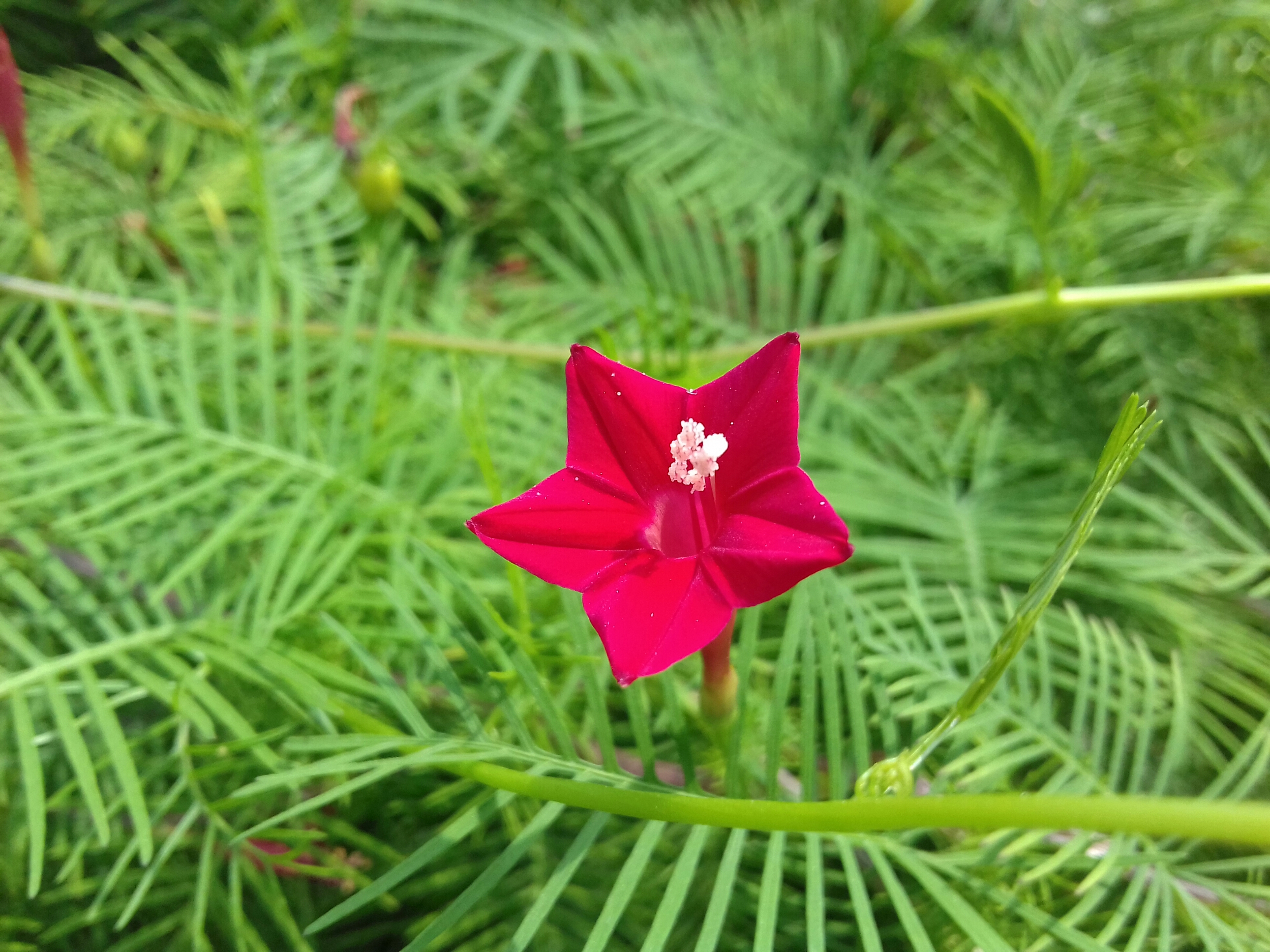20180530_133123-1.jpg