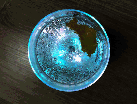 anigif.gif