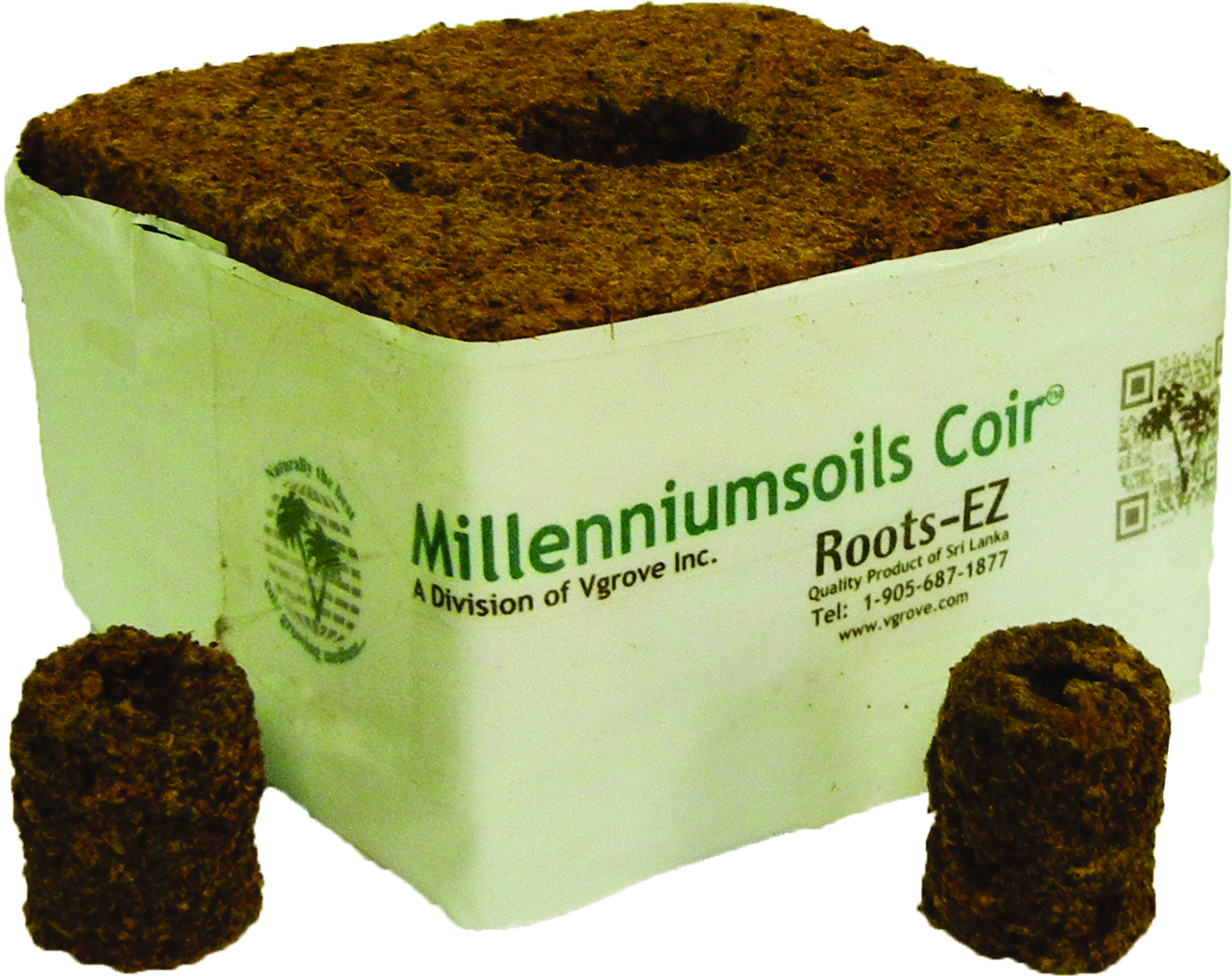 Roots-EZ cube.jpg