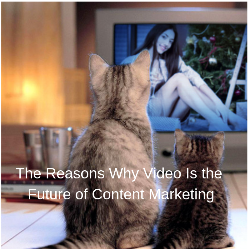 The Reasons Why Video Is the Future of Content Marketing (1).png