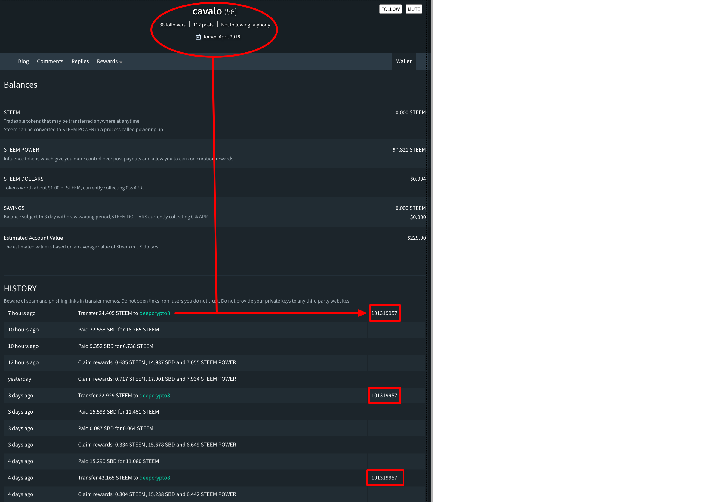 cavalo — Steemit.png