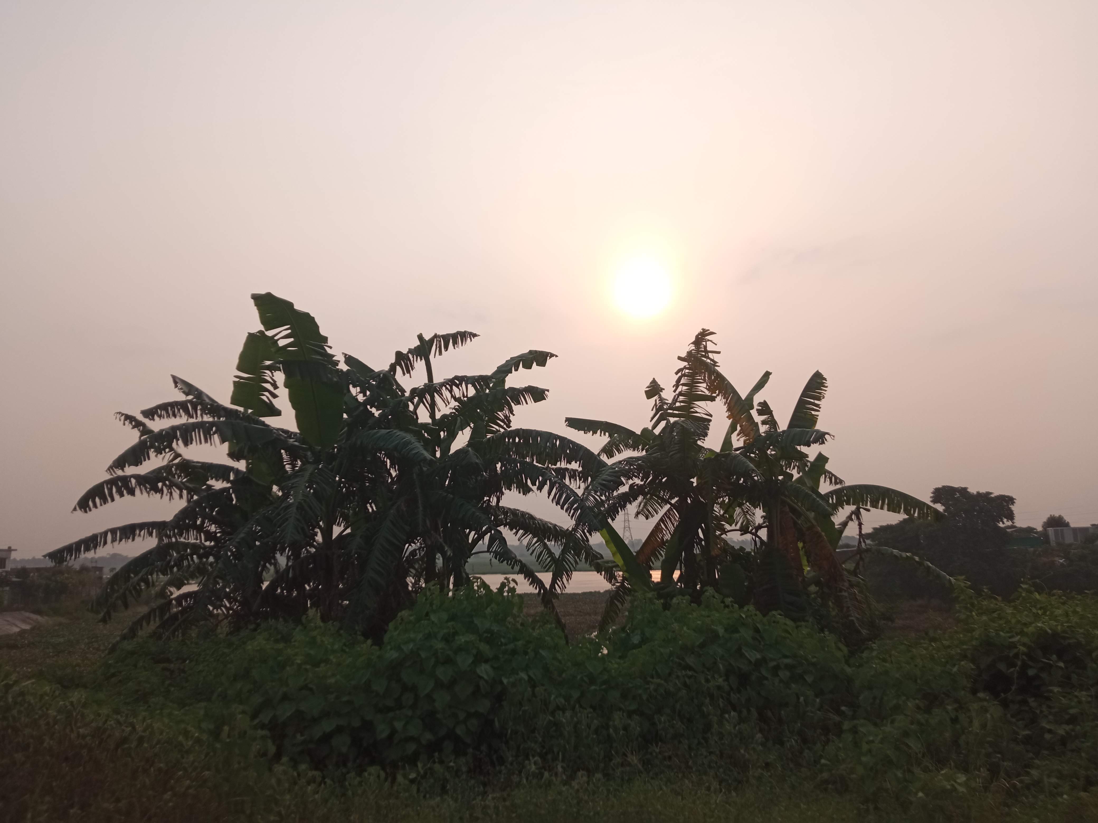 somoy (3).jpg