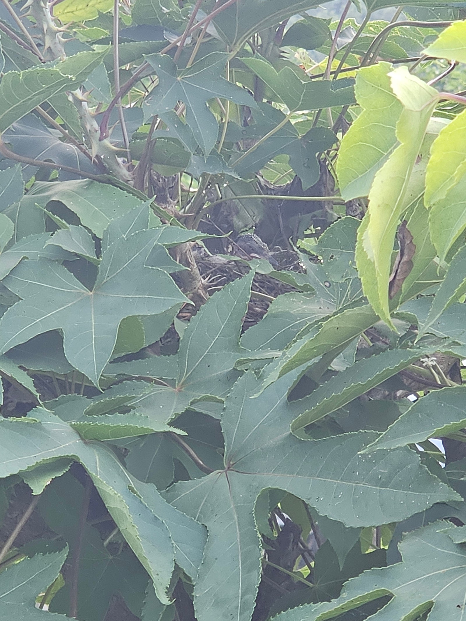 20260722_185601.jpg