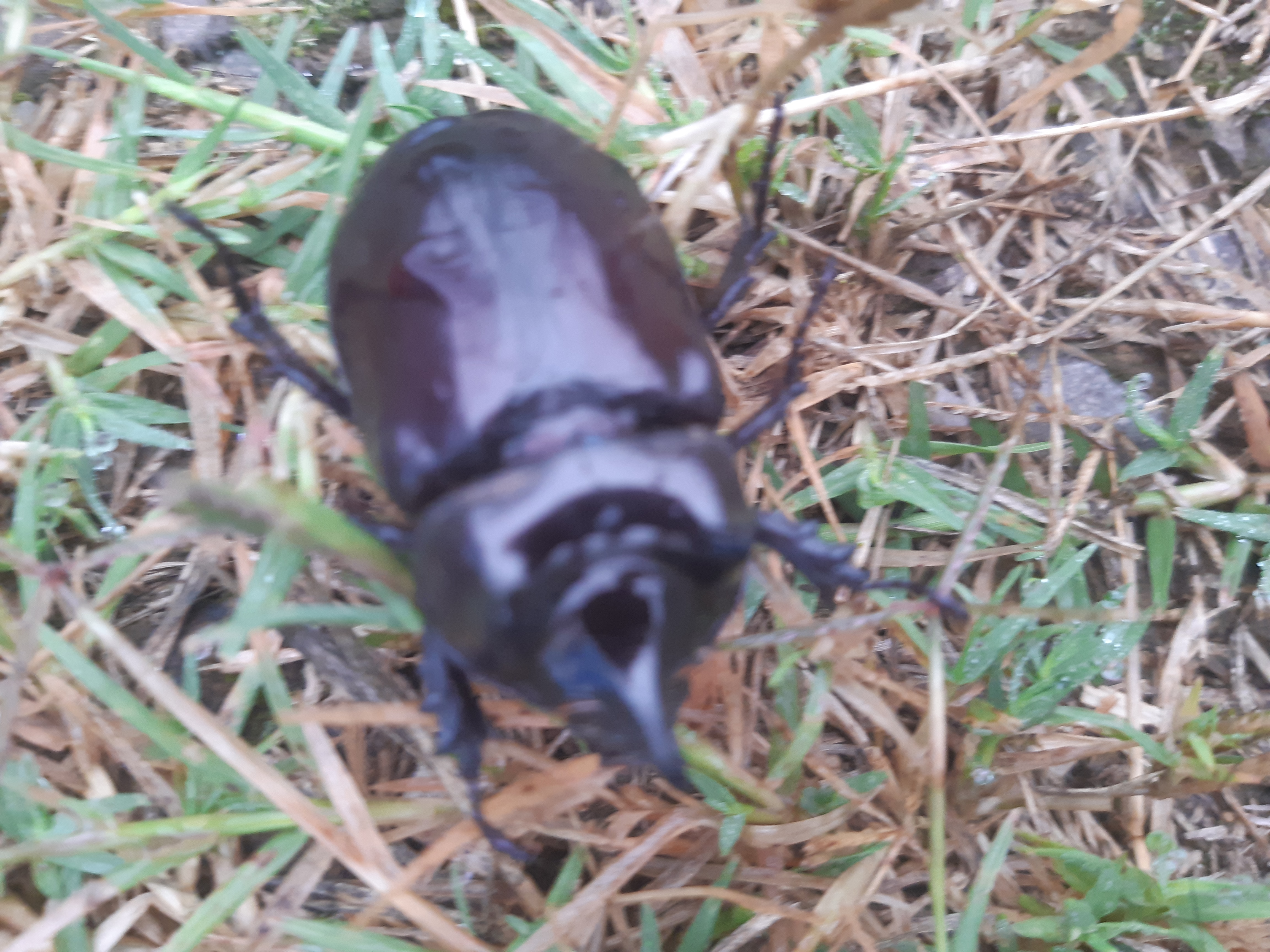 20220223_065217.jpg
