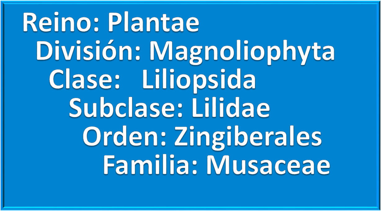 Imagen2.png