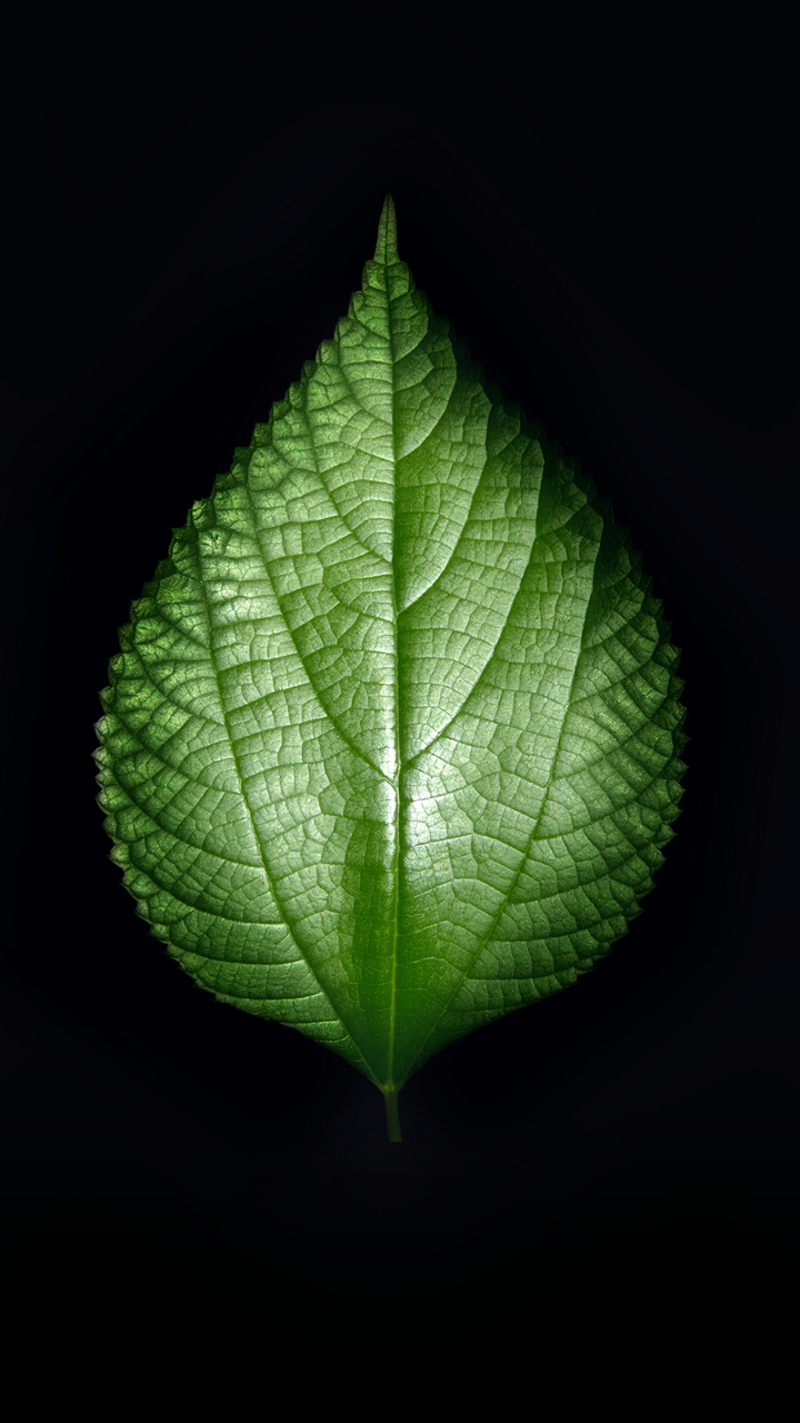 2019-09-15_1.png